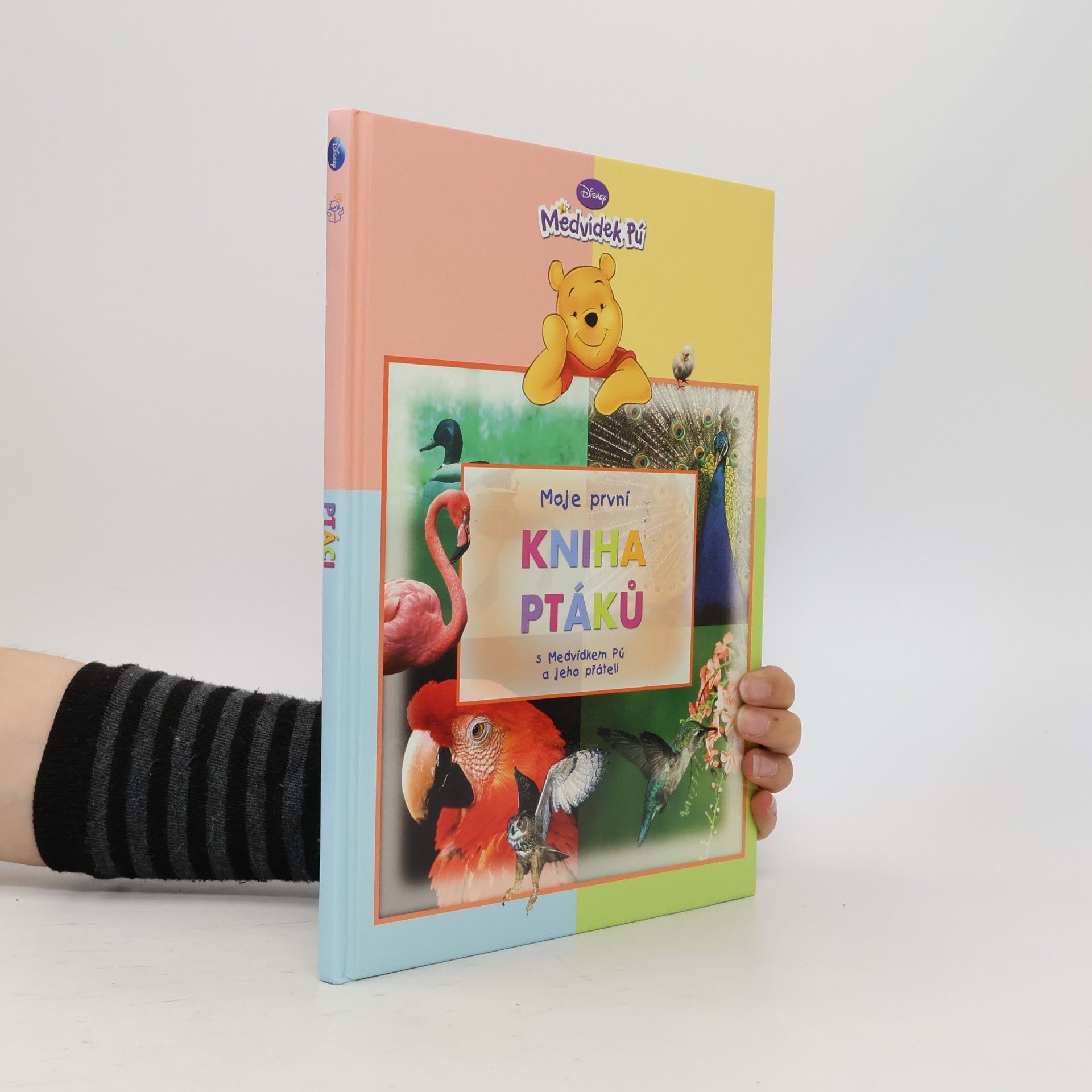 Walt Disney Moje první kniha ptáků s Medvídkem Pú a jeho přáteli
