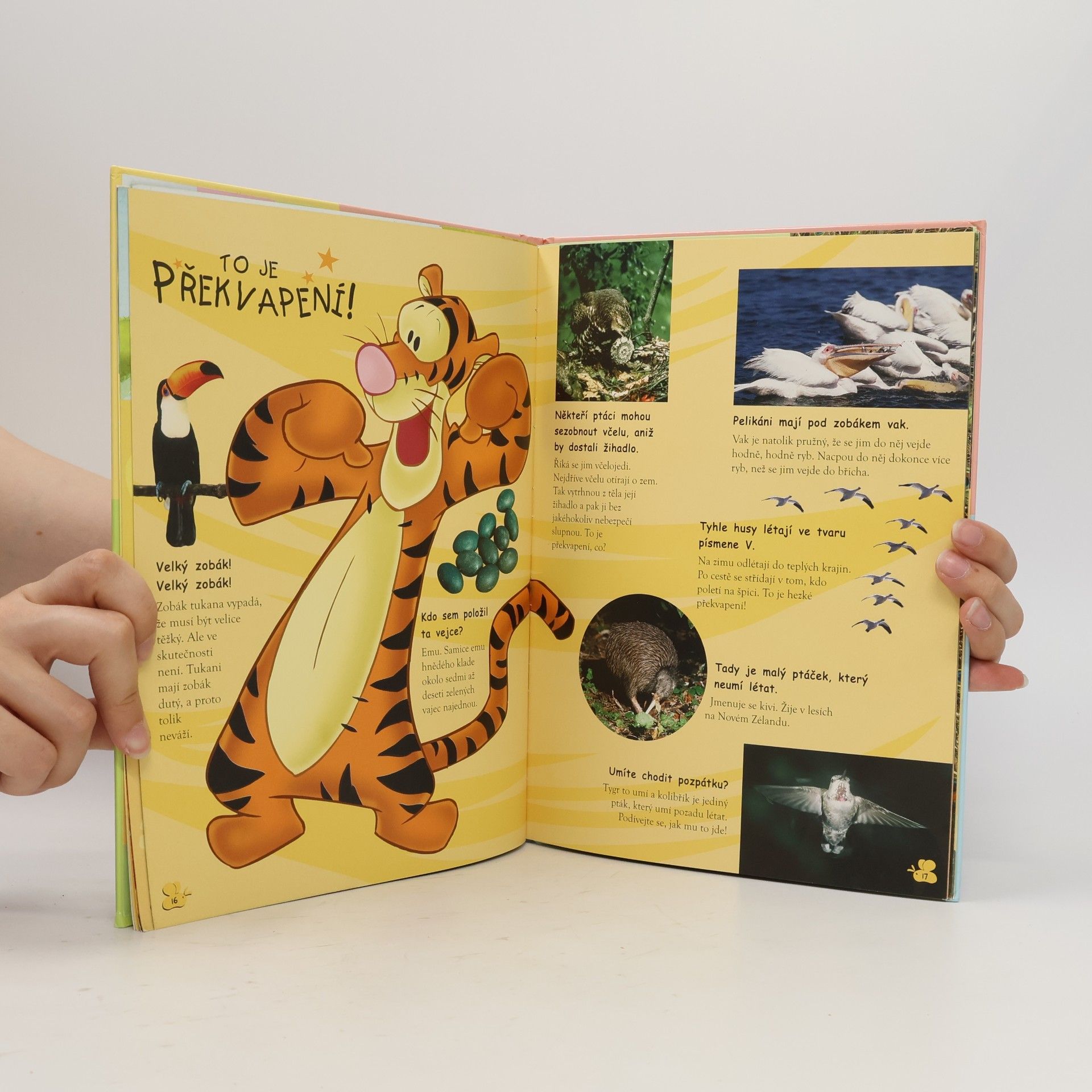Walt Disney Moje první kniha ptáků s Medvídkem Pú a jeho přáteli