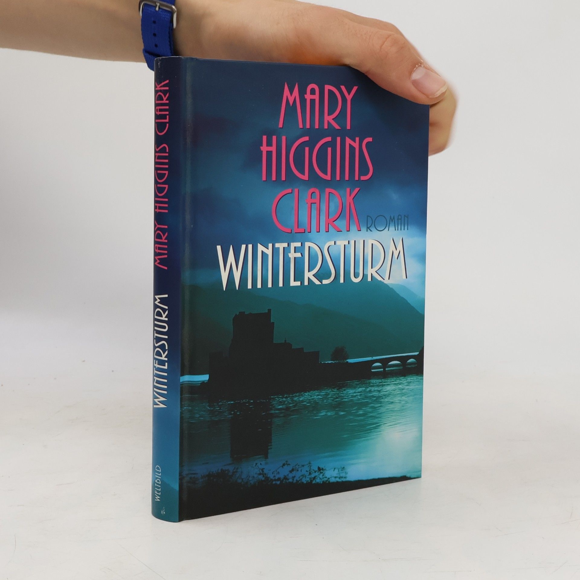Mary Higgins Clark Wintersturm