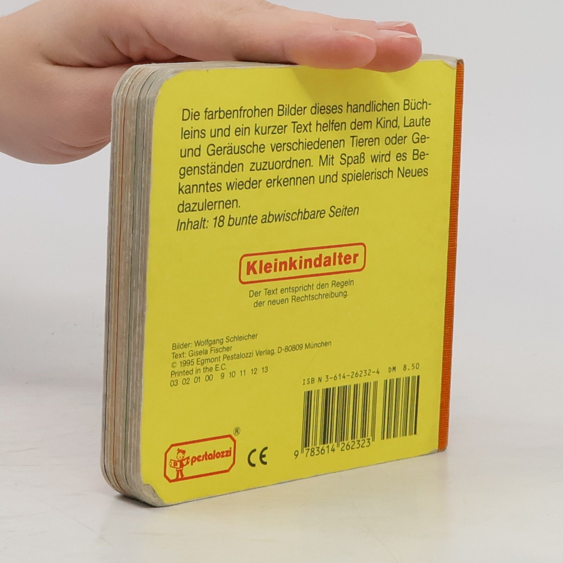 Wolfgang Schleicher Was hörst du da? Ein kleines Jumbobuch