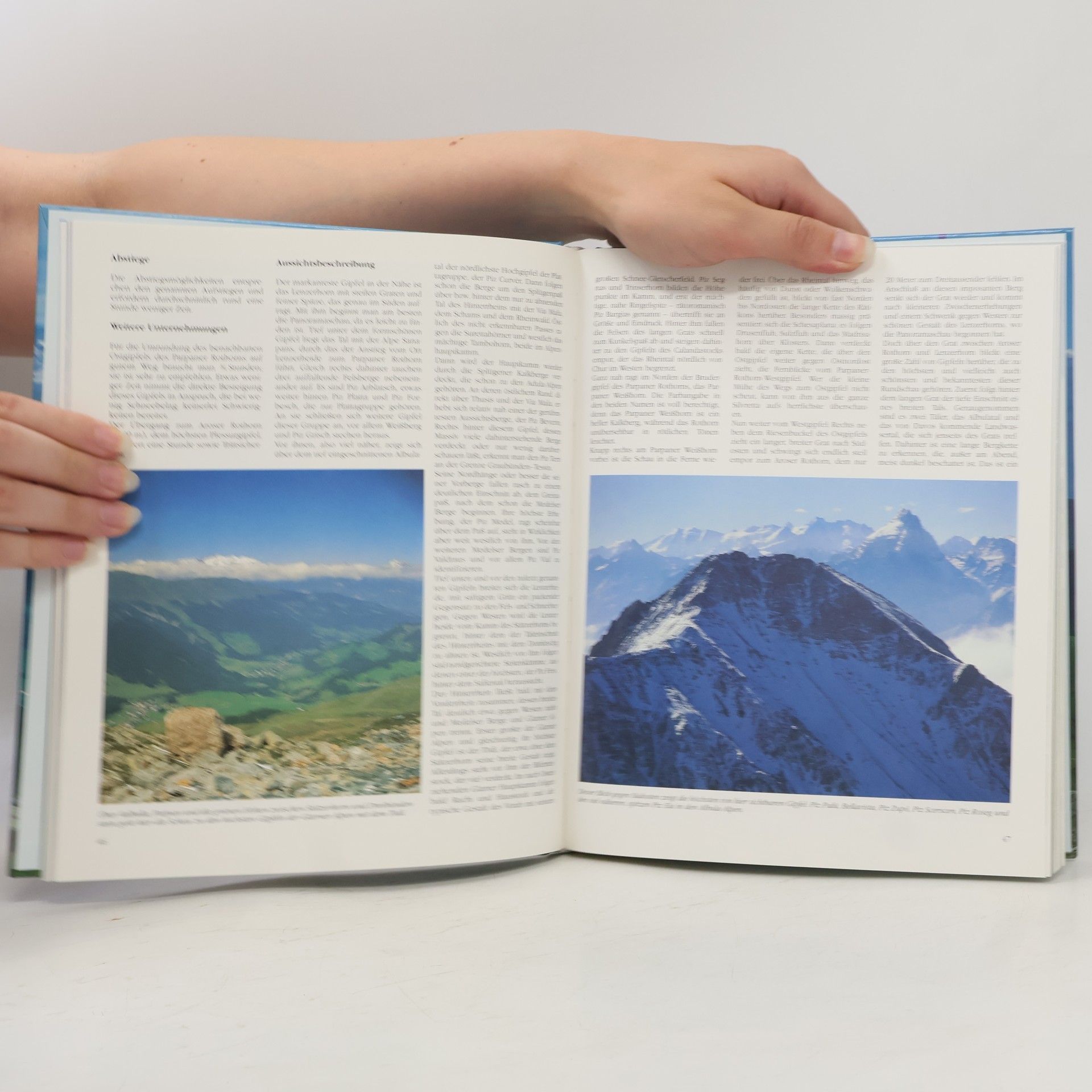 Ernst Höhne Die großen Panoramaplätze der Alpen