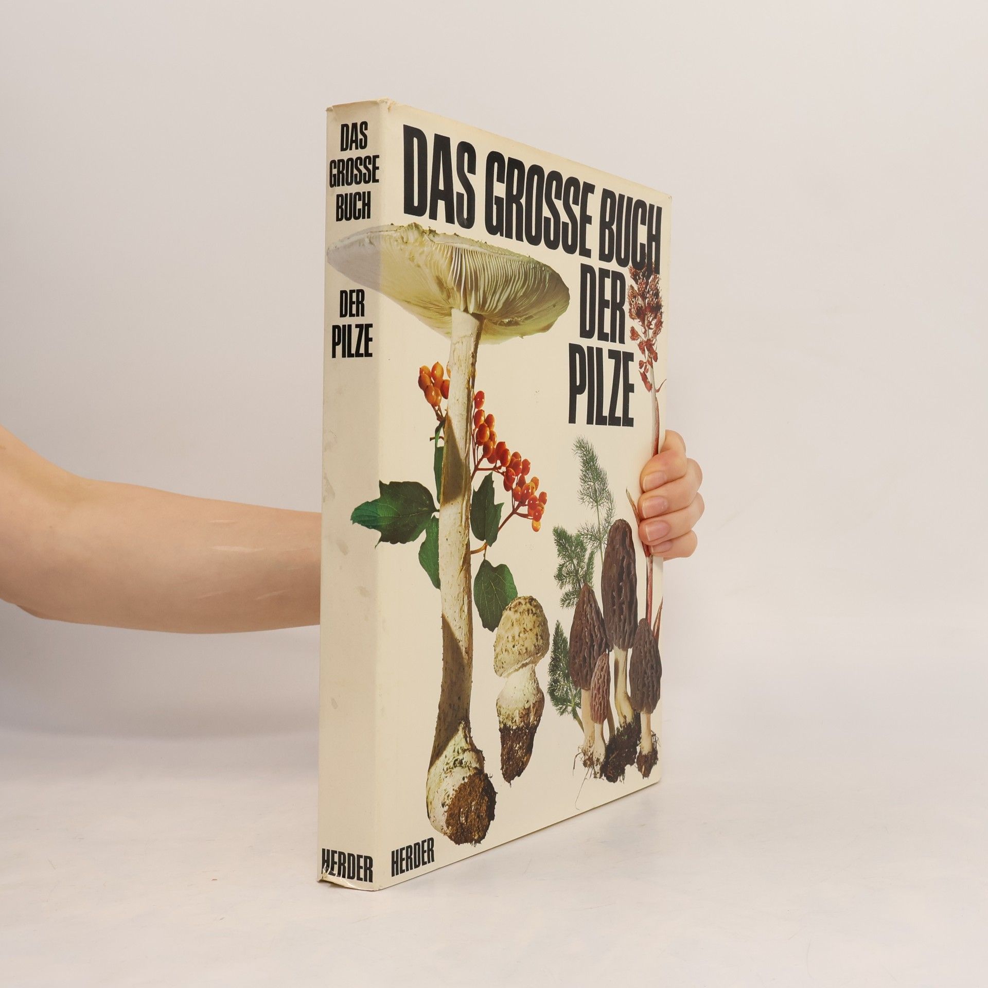 Fred Waldvogel Das grosse Buch der Pilze