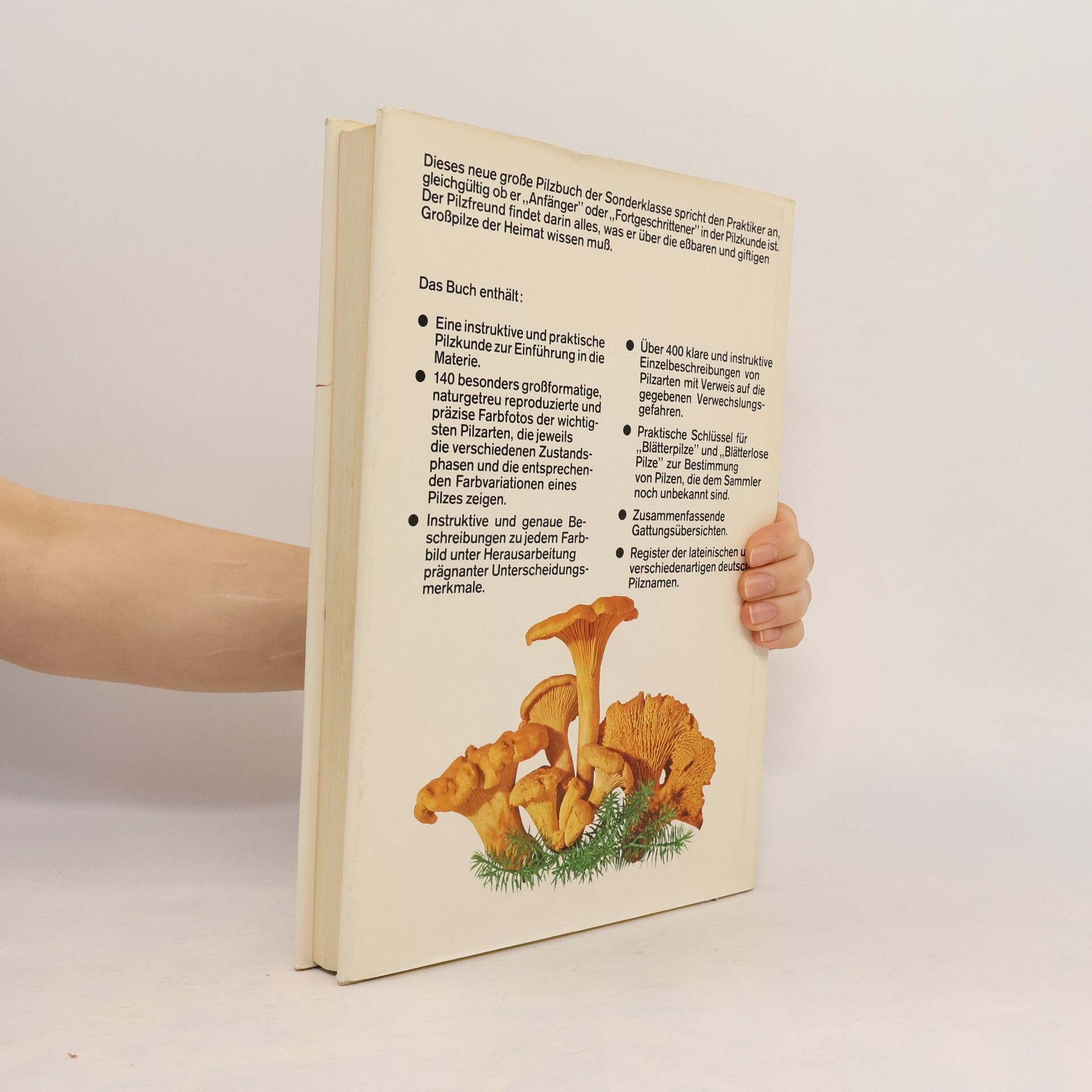 Jakob Schlittler Das grosse Buch der Pilze