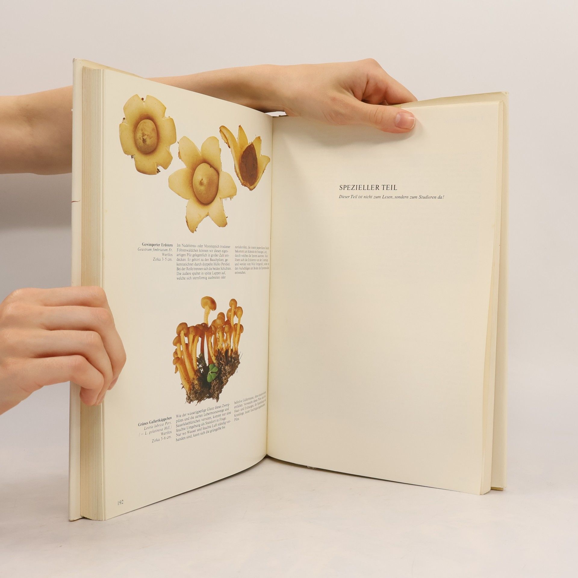 Jakob Schlittler Das grosse Buch der Pilze