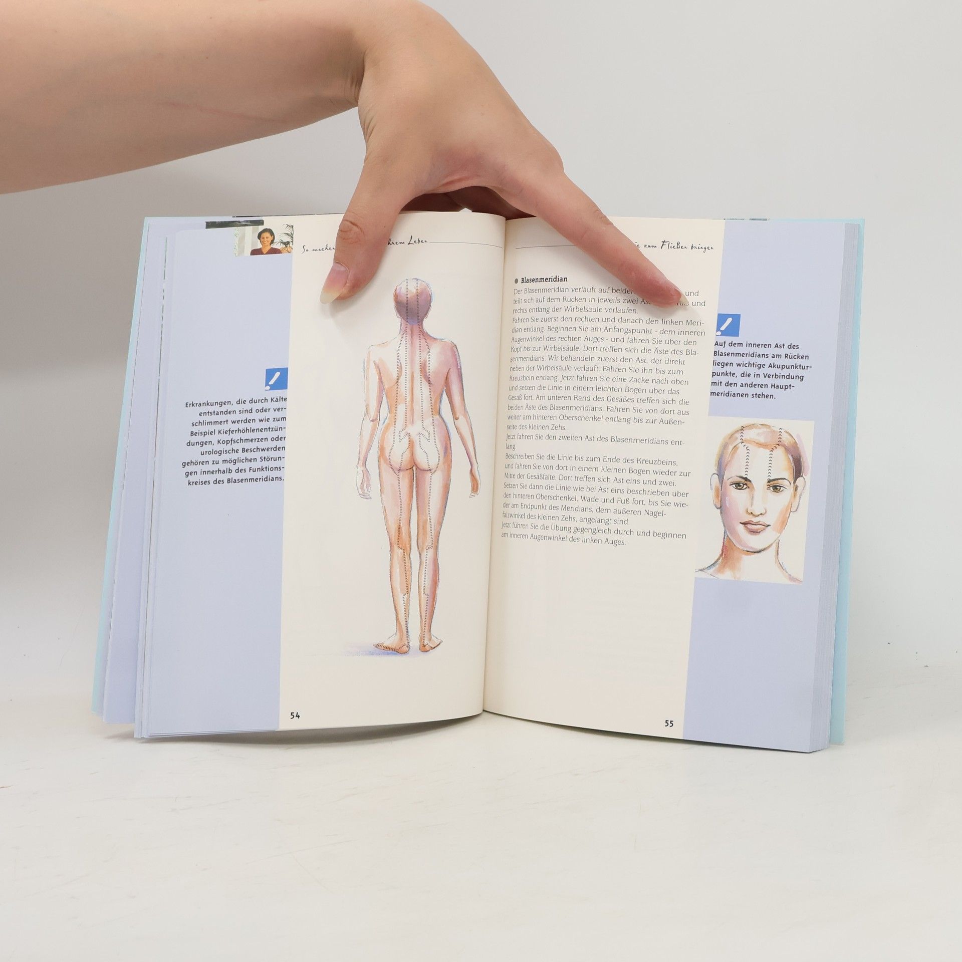 Gabriele Förder Kinesiologie. Leben mit ganzer Kraft