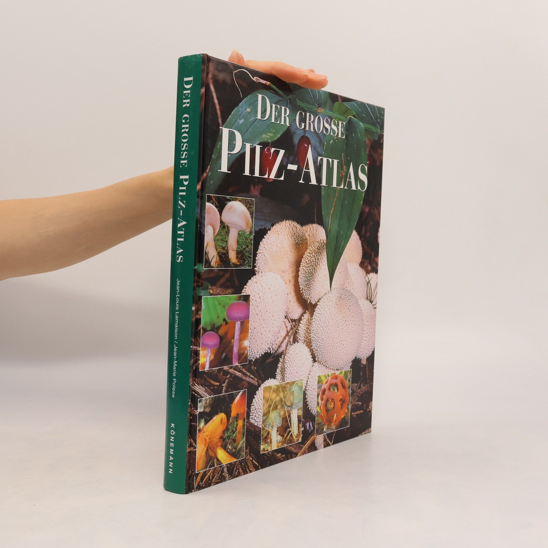 Marten Brandt Der große Pilz-Atlas