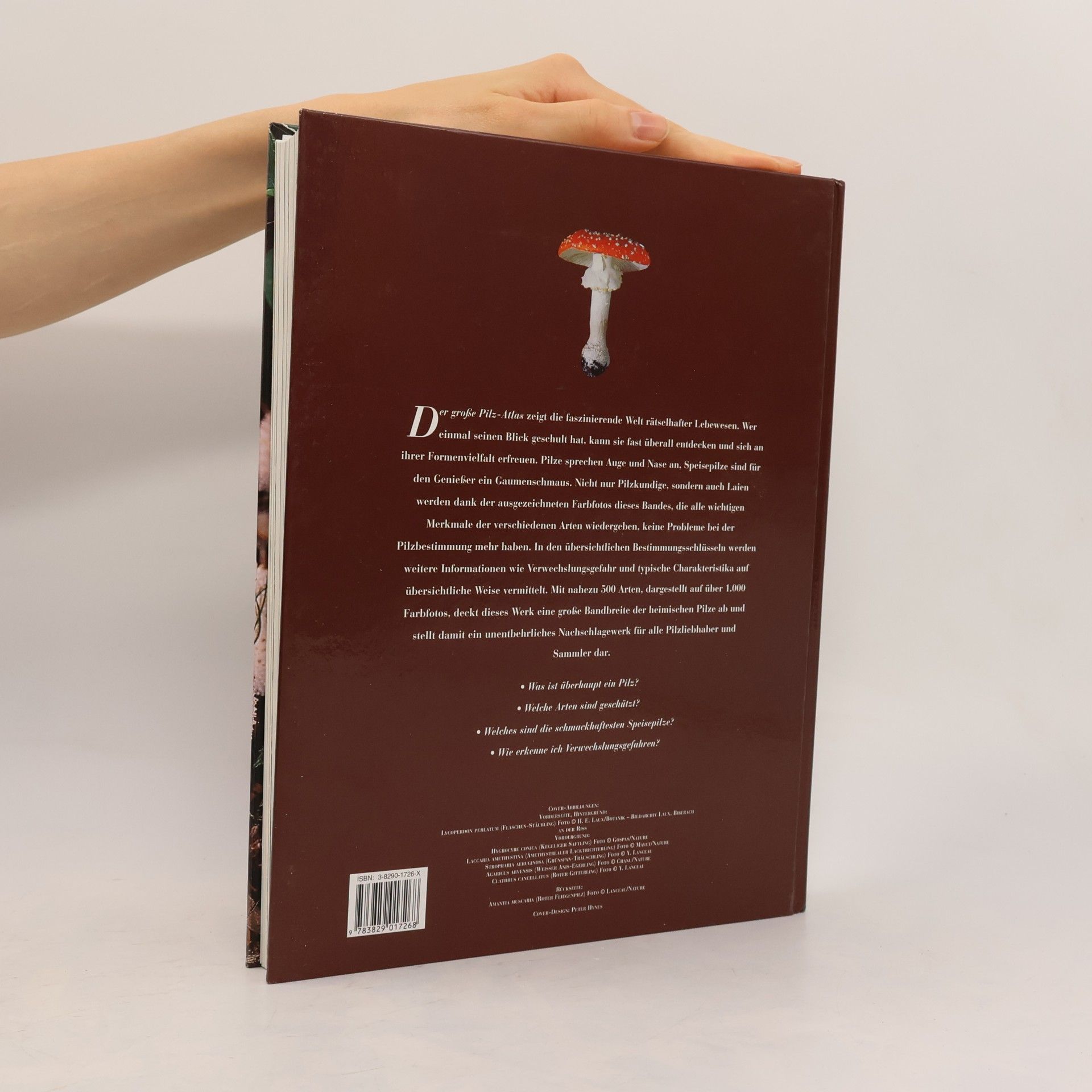 Marten Brandt Der große Pilz-Atlas