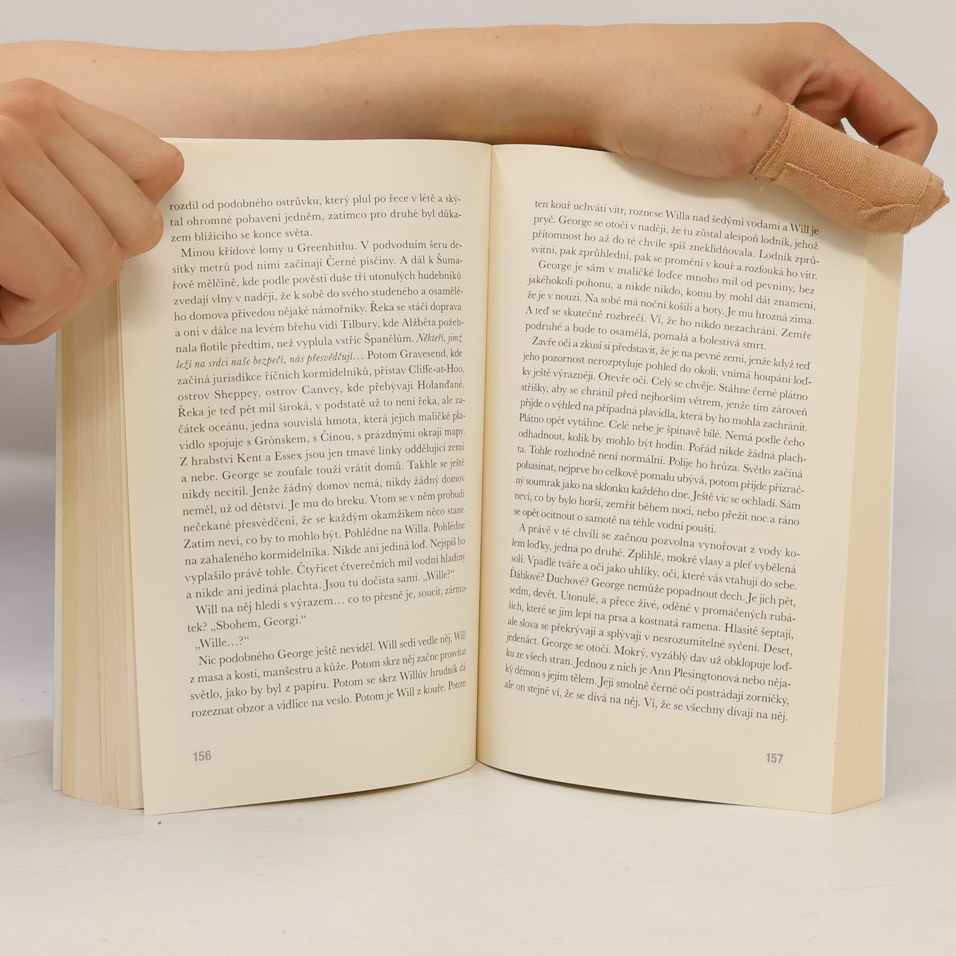 Mark Haddon Sviňucha