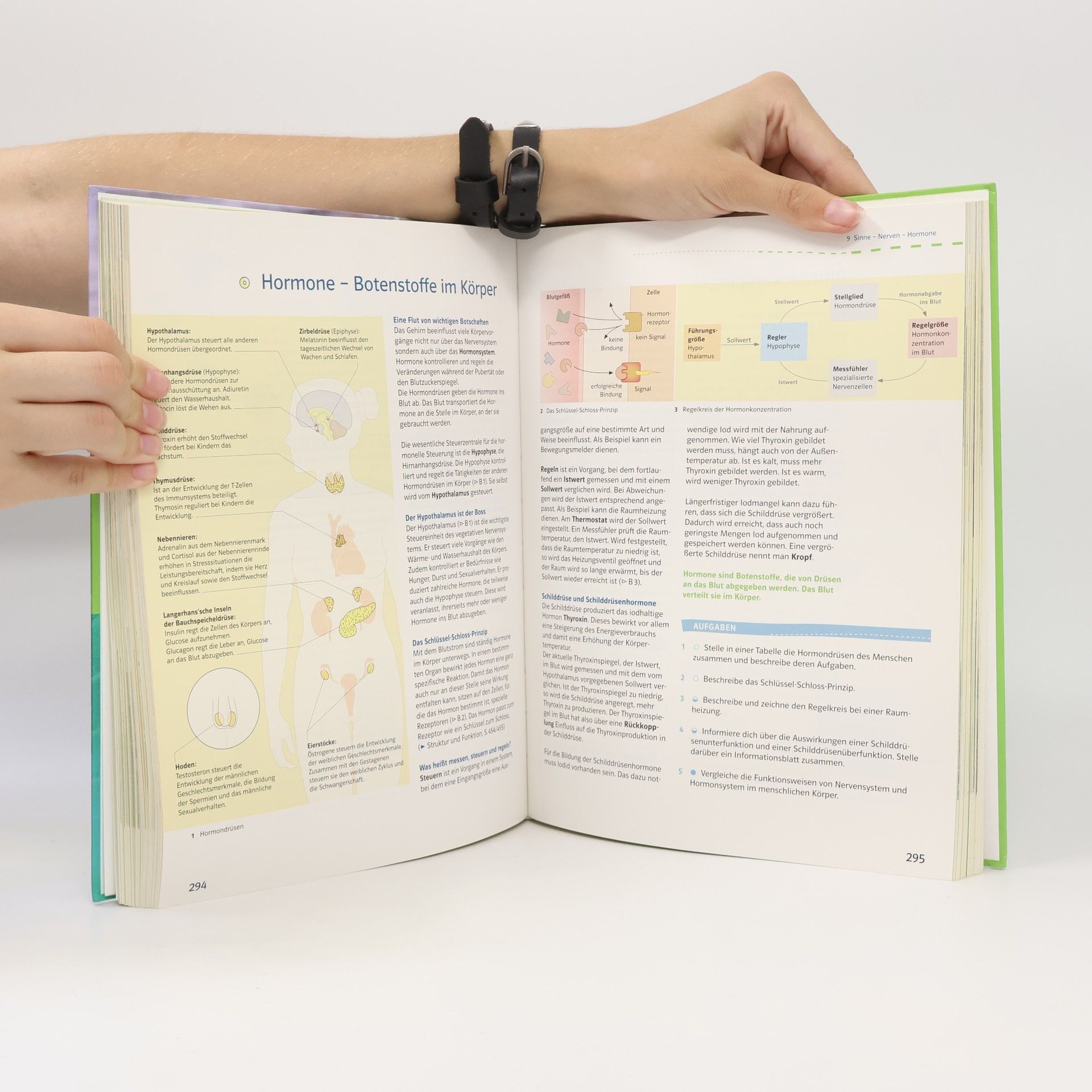Autorenkollektiv Prisma Biologie 2