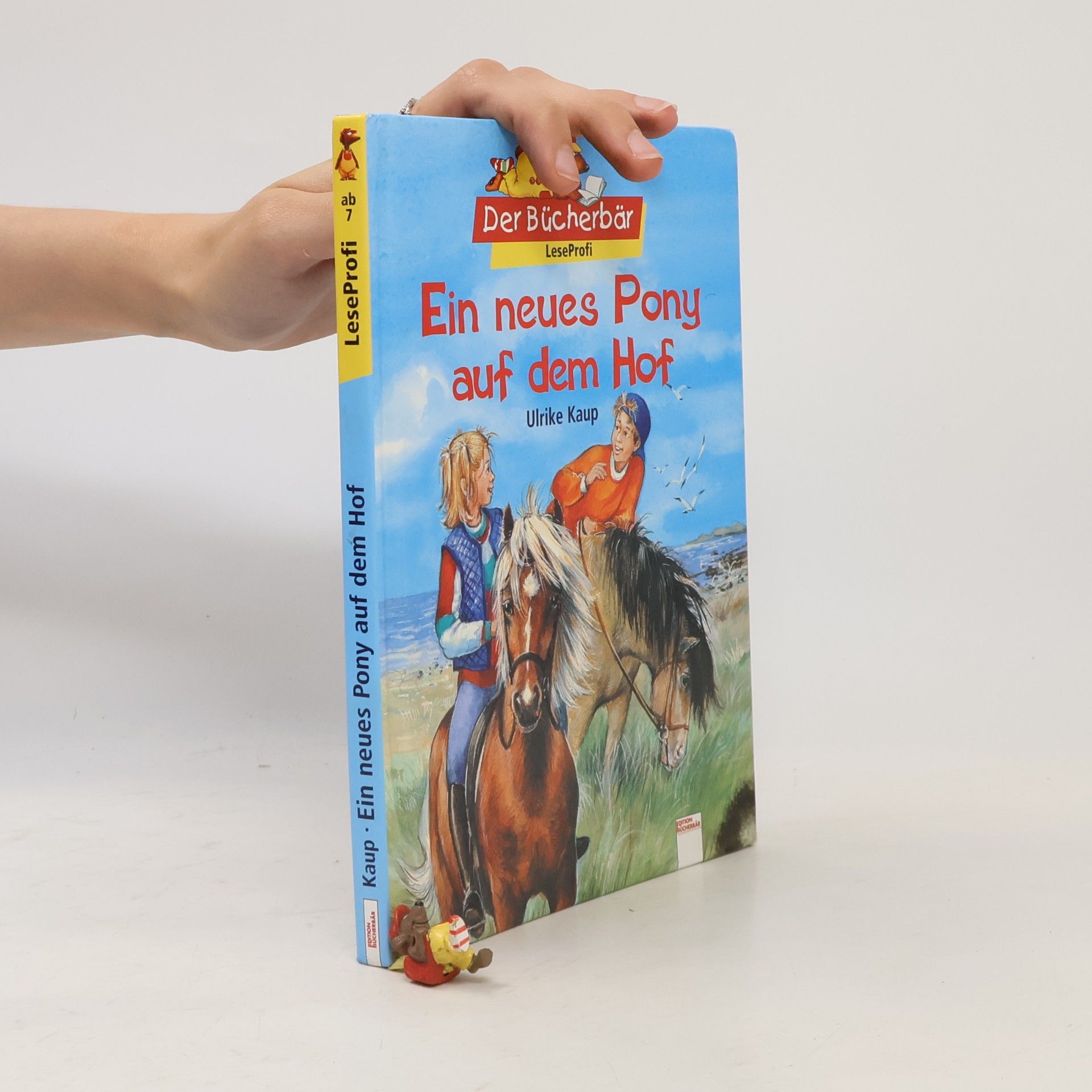 Ein neues Pony auf dem Hof
