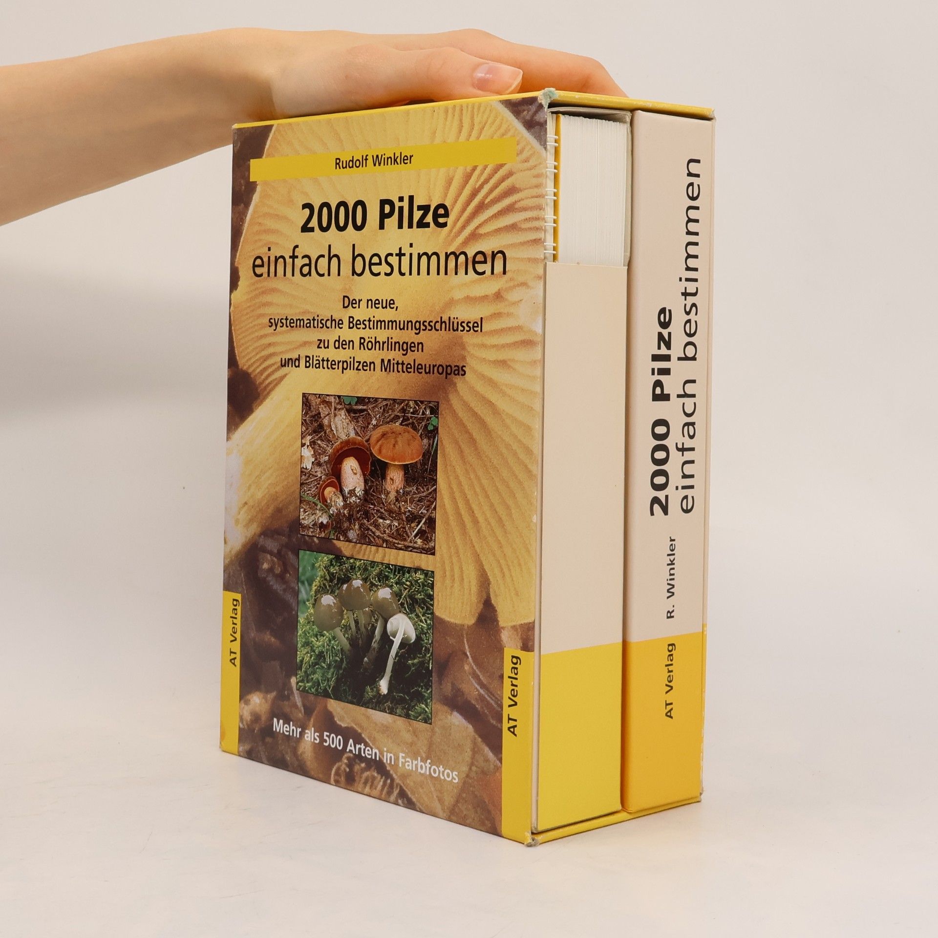 Autorenkollektiv 2000 Pilze einfach bestimmen