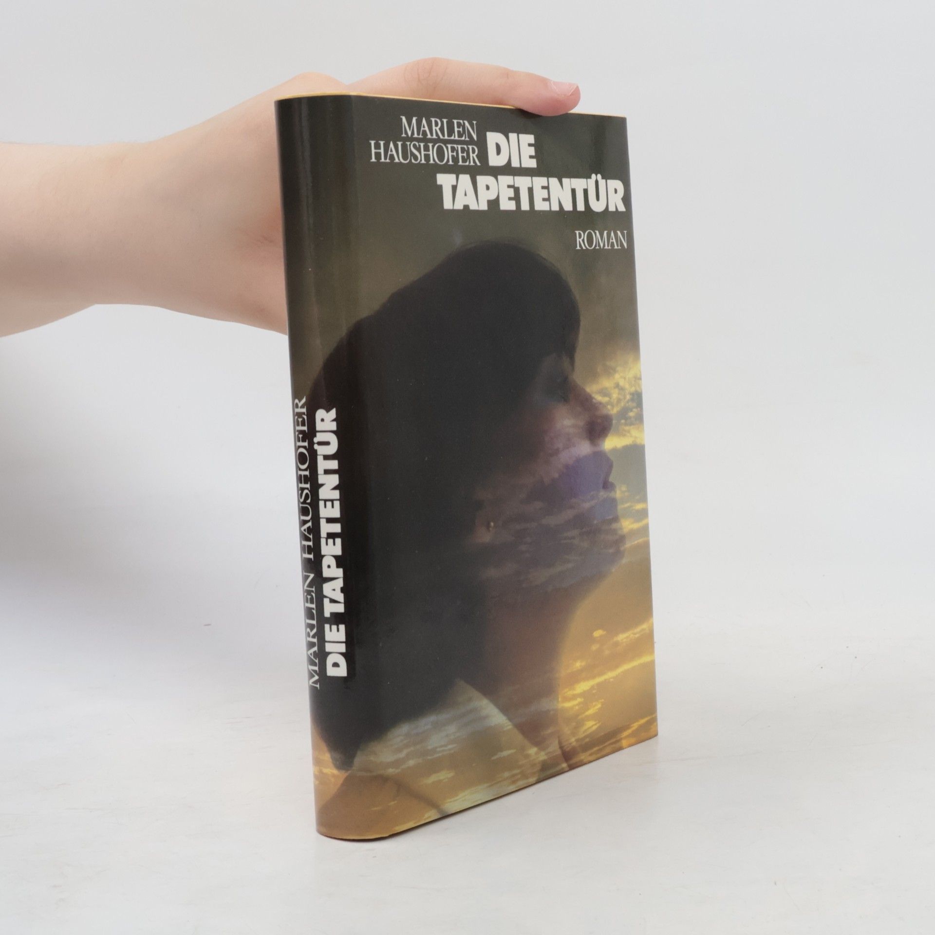 Marlen Haushofer Die Tapetentür