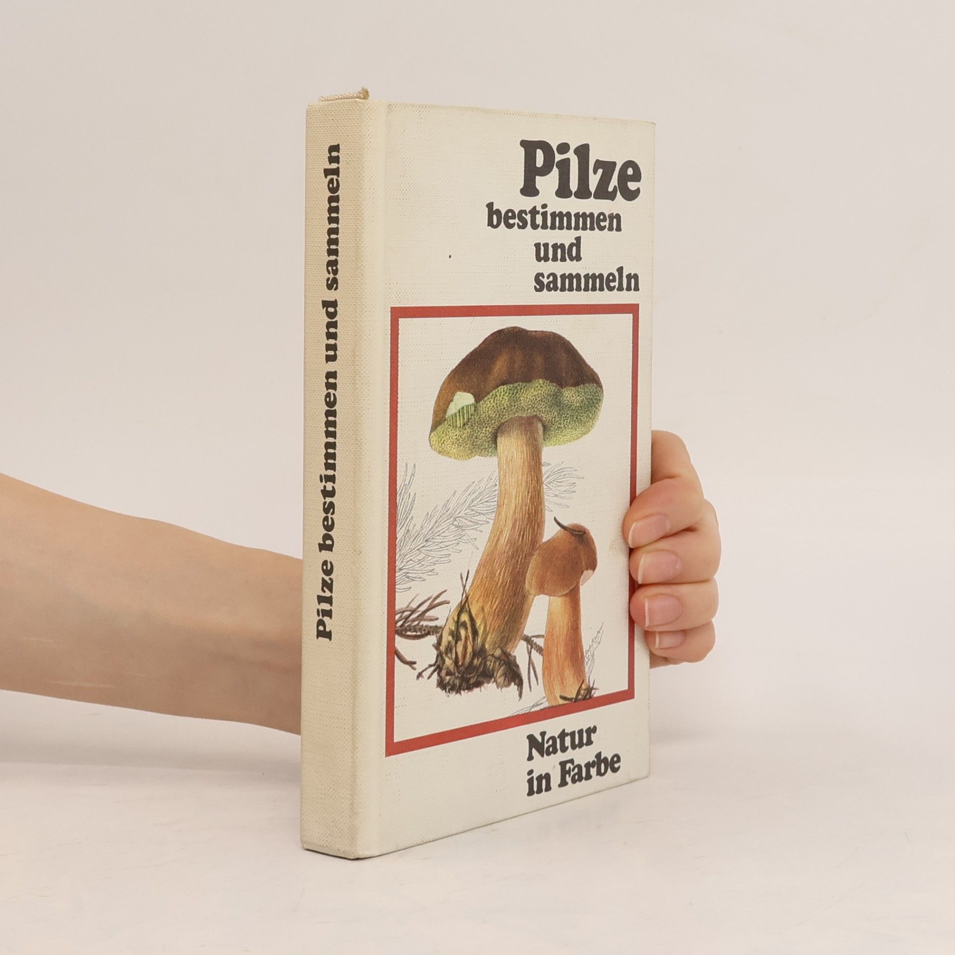 Vančura Pilze bestimmen und sammeln