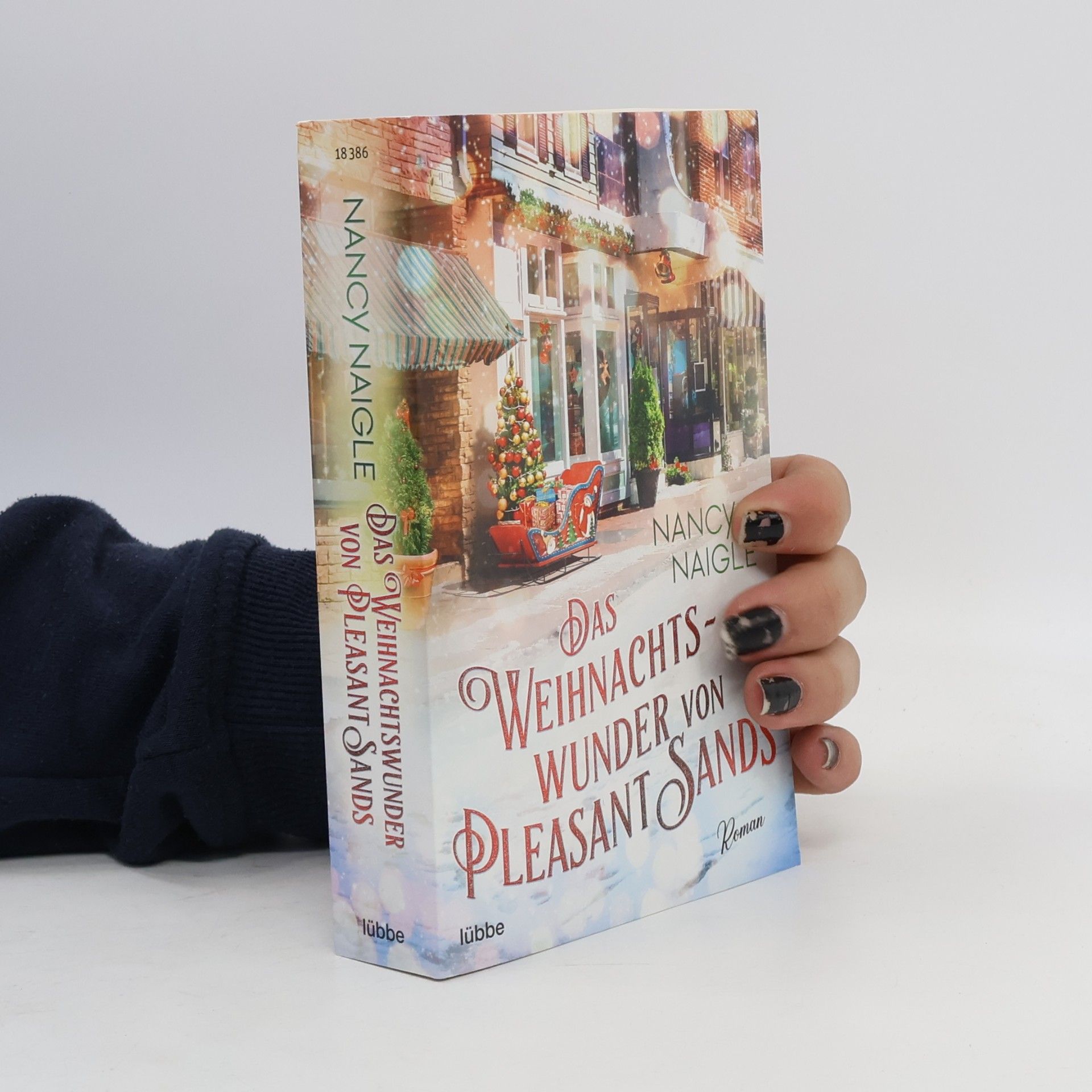 Nancy Naigle Das Weihnachtswunder von Pleasant Sands