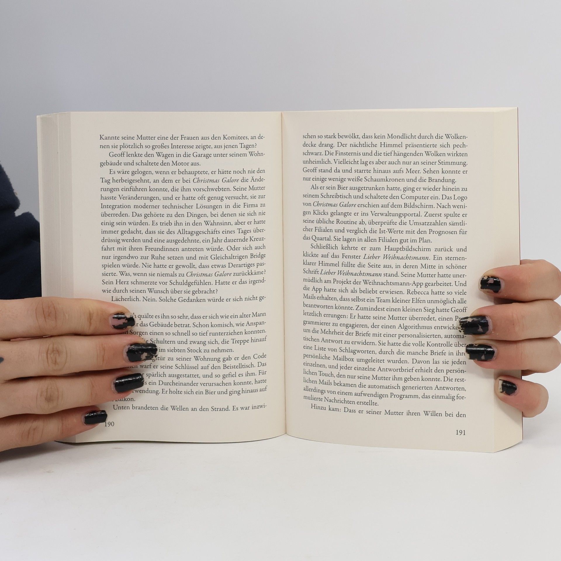 Nancy Naigle Das Weihnachtswunder von Pleasant Sands