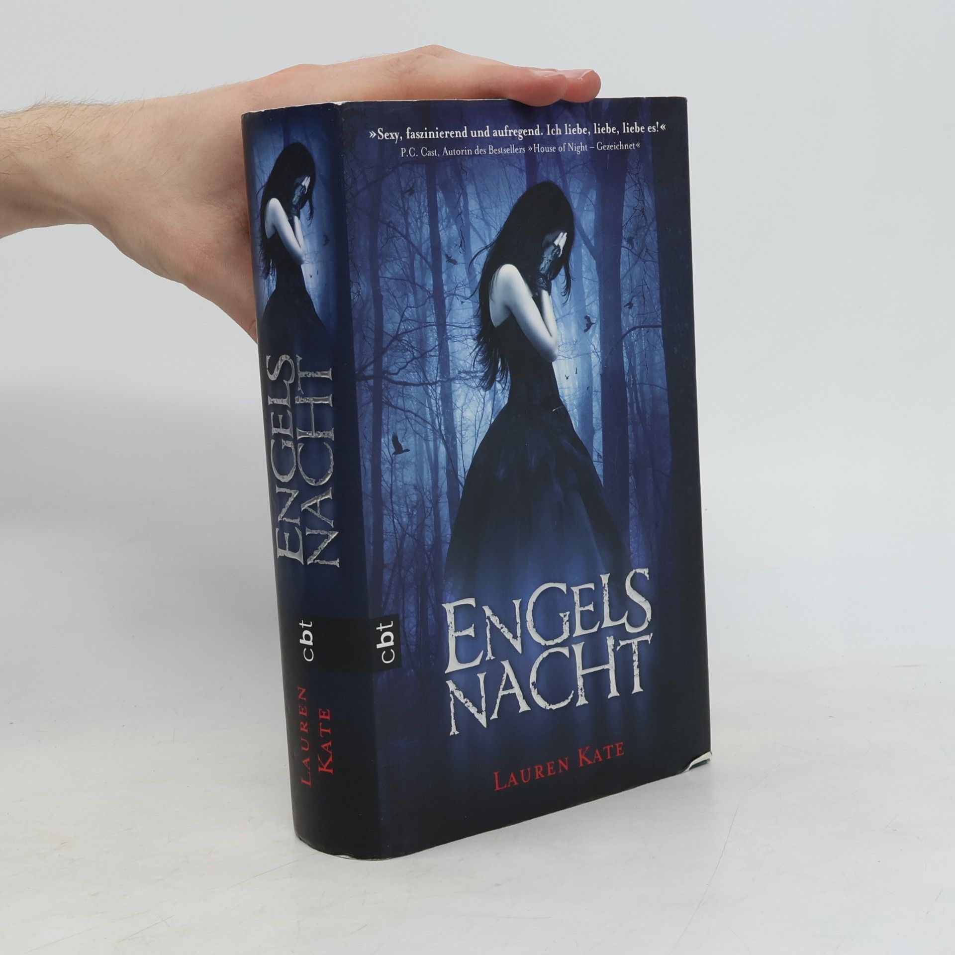 Lauren Kate Engels Nacht