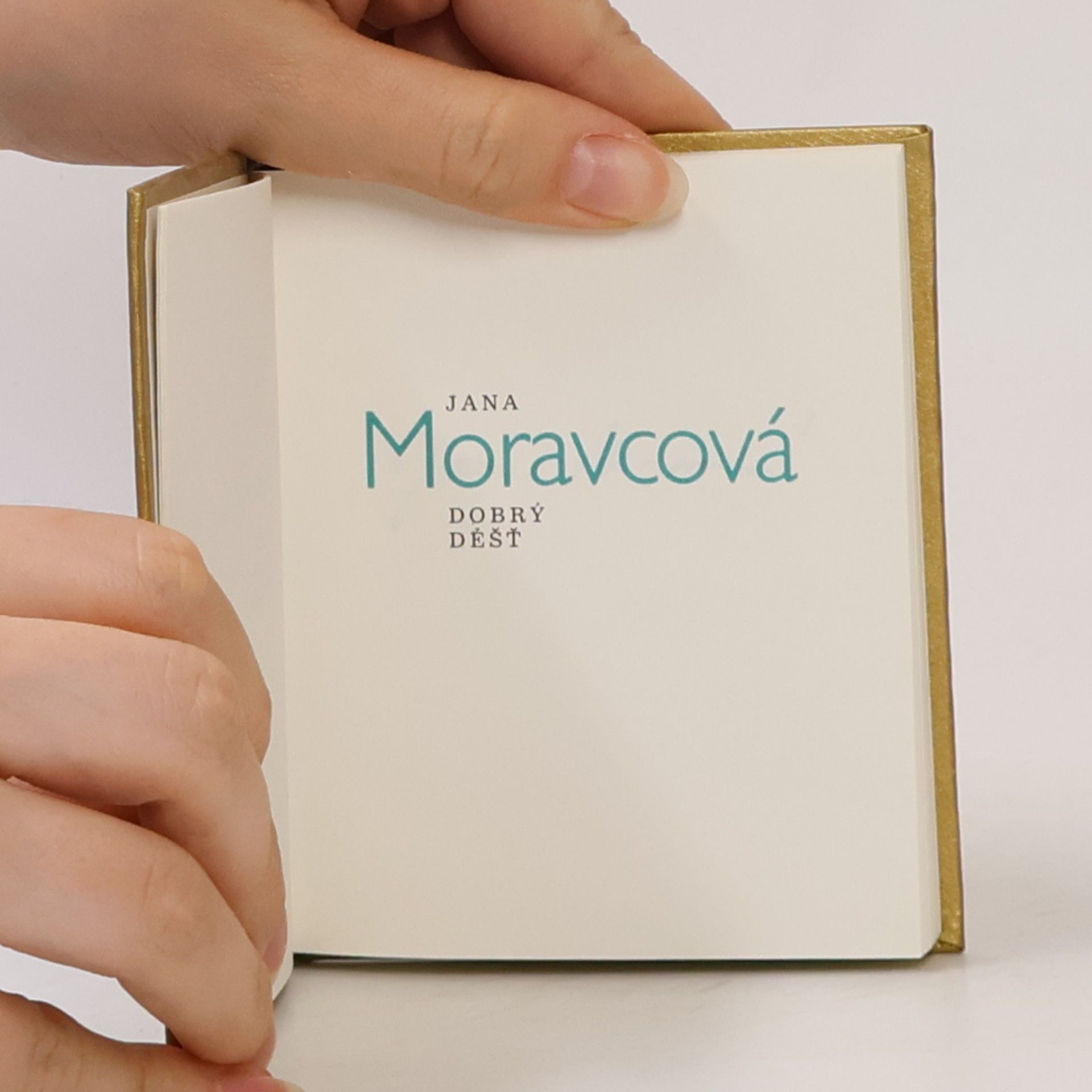 Moravcová Jana Dobrý déšt