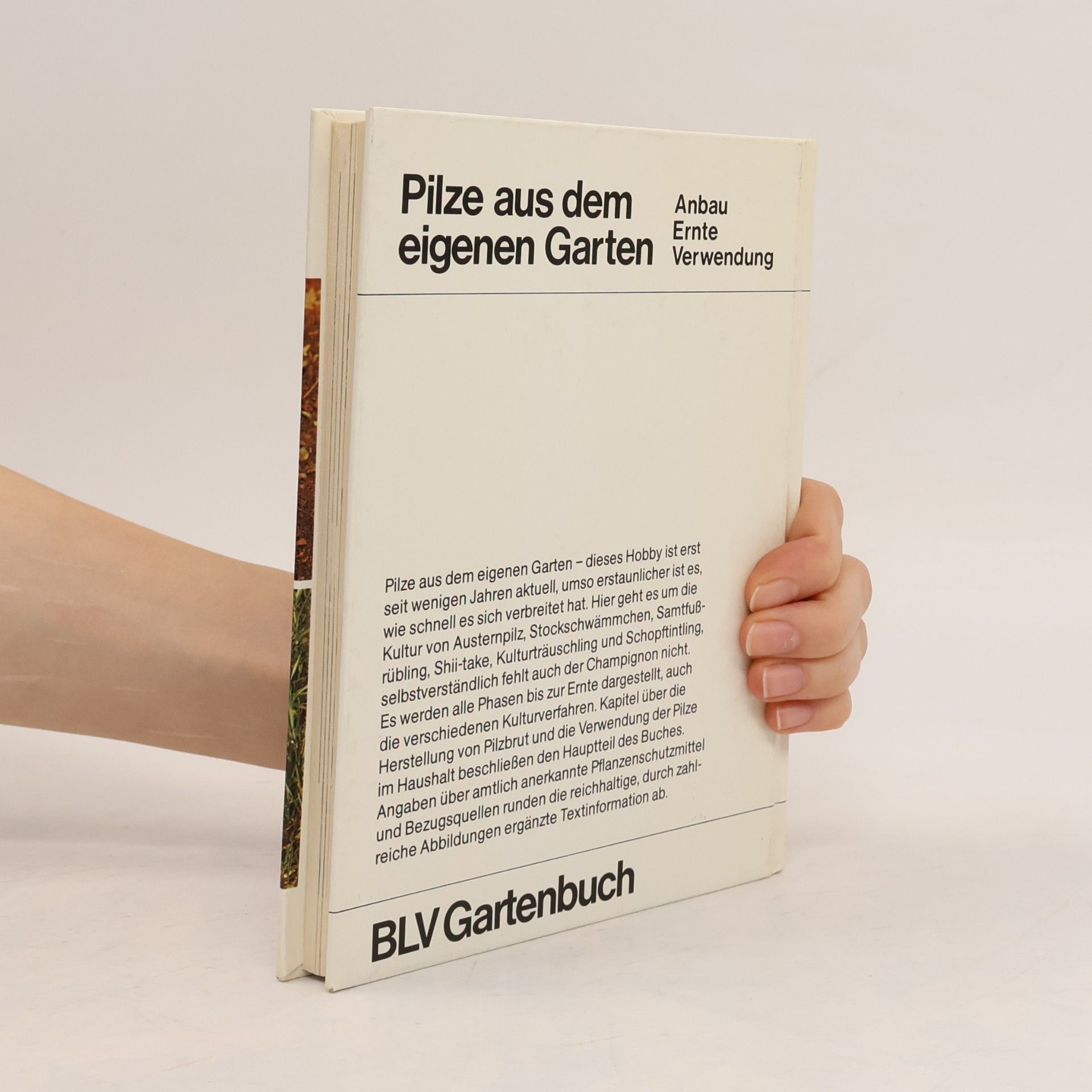 Jan Lelley Pilze aus dem eigenen Garten