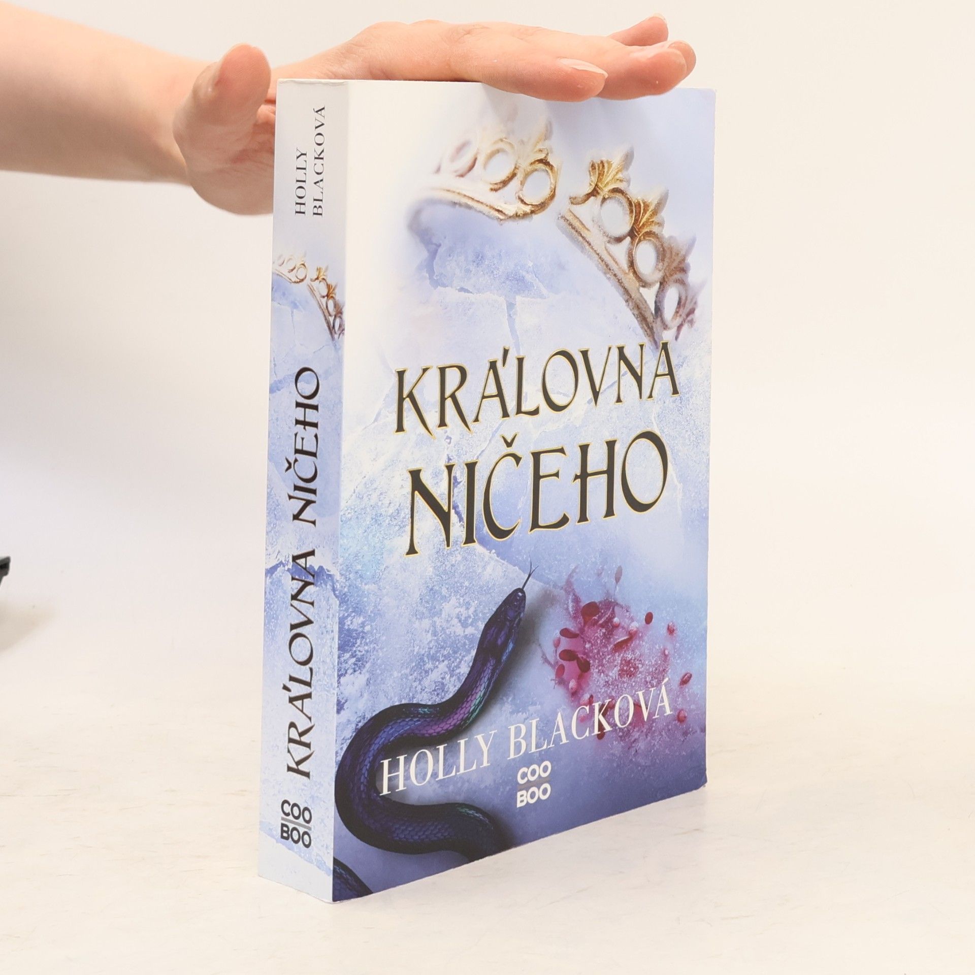Holly Black Královna ničeho