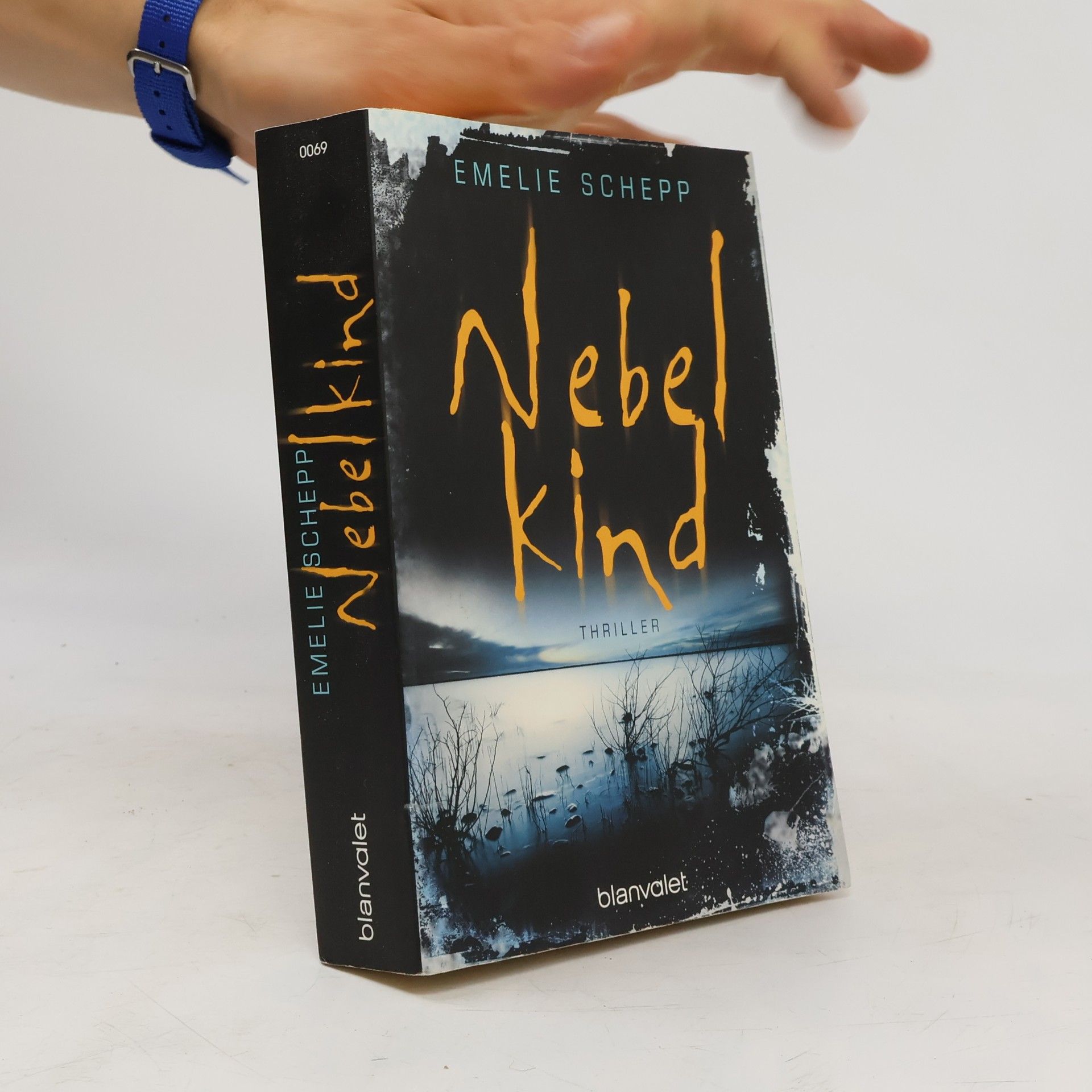 Emelie Schepp Nebelkind