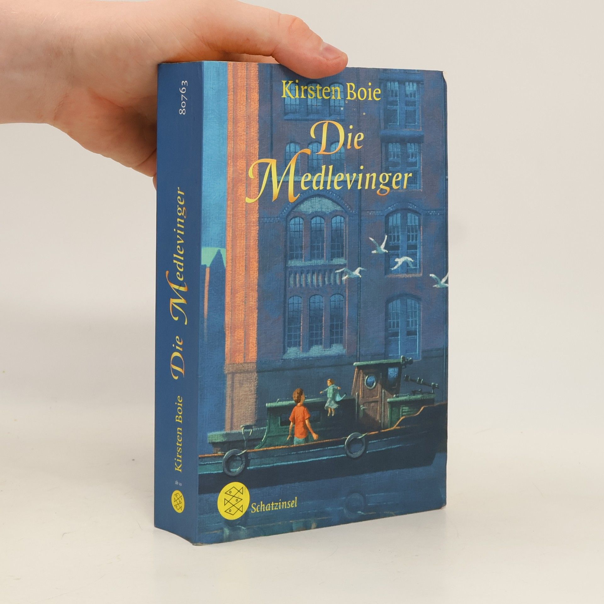 Kirsten Boie Die Medlevinger