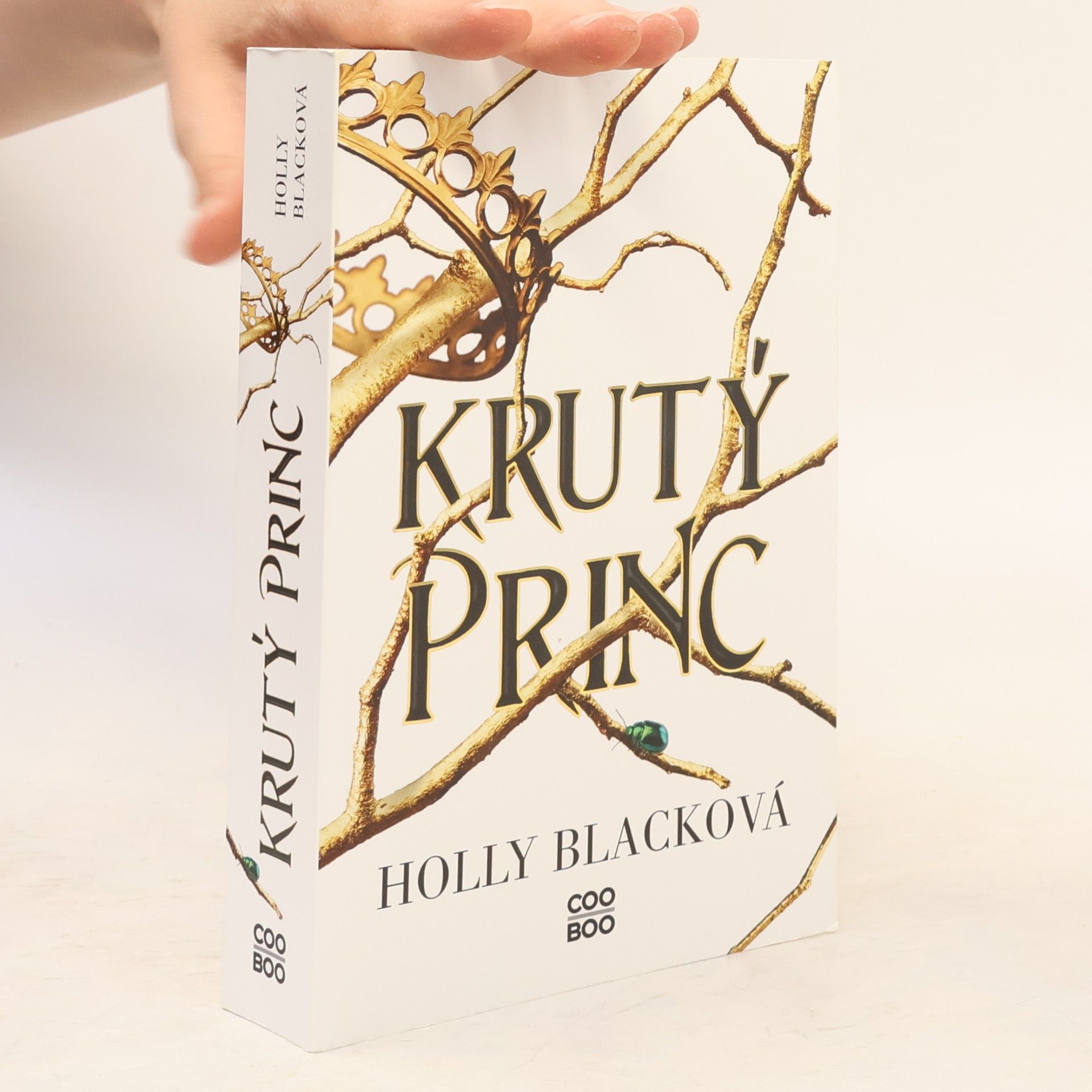 Holly Black Krutý princ
