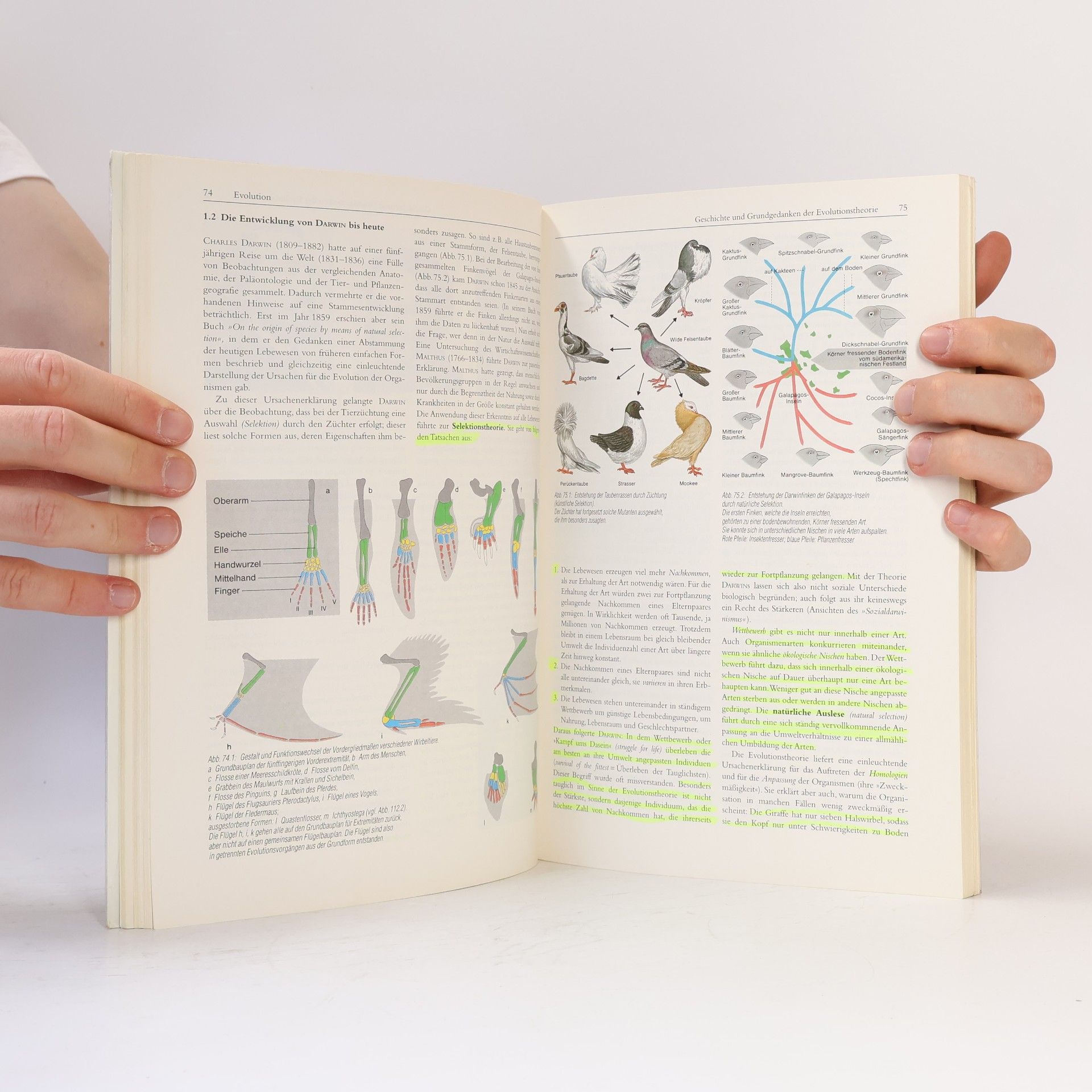 Hans Knodel Linder Biologie. Lehrbuch für die Oberstufe. Teil 3