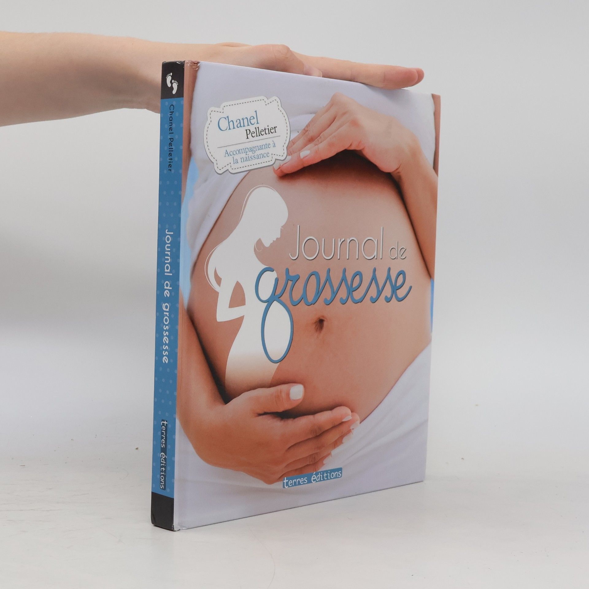 Chanel Pelletier Journal de grossesse