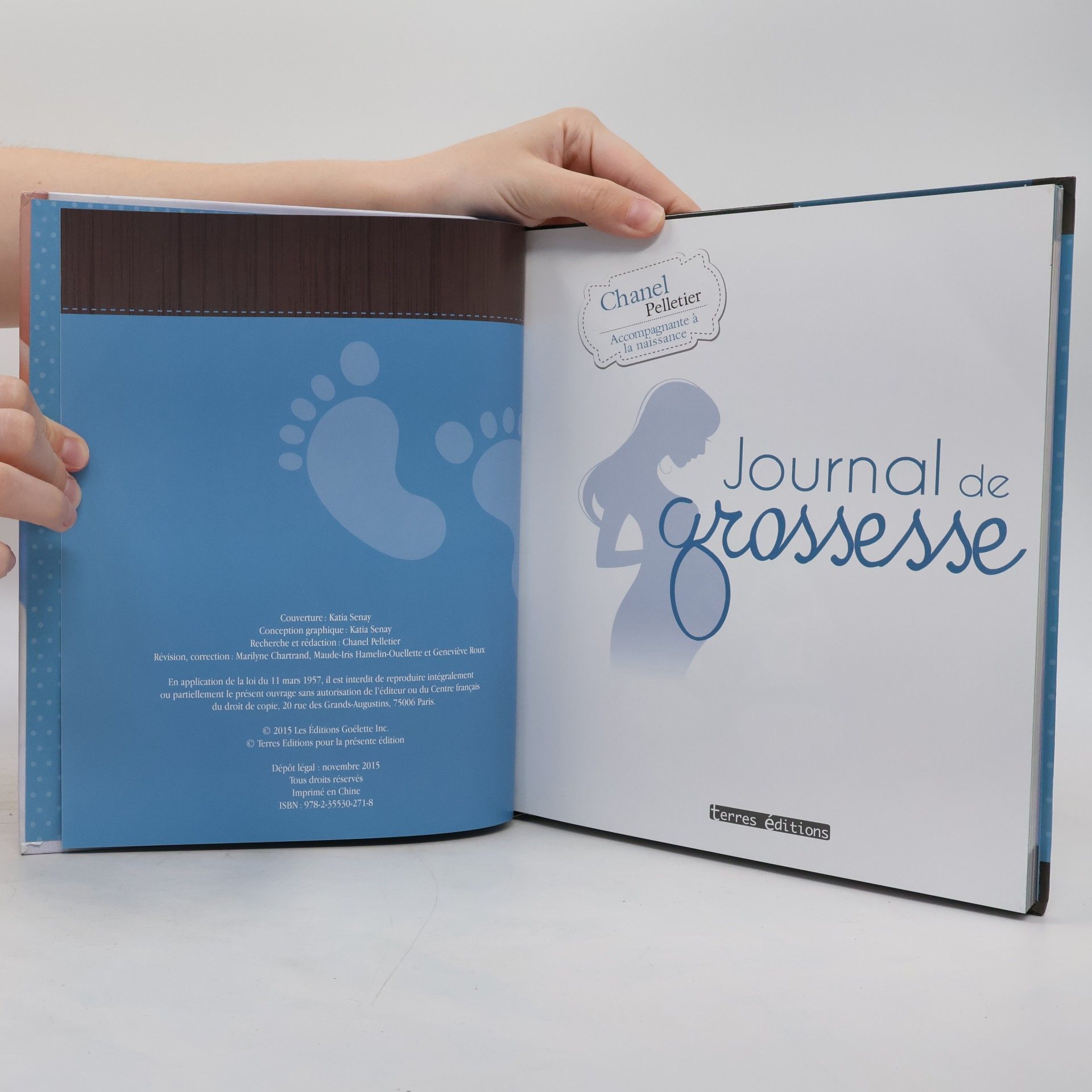 Chanel Pelletier Journal de grossesse