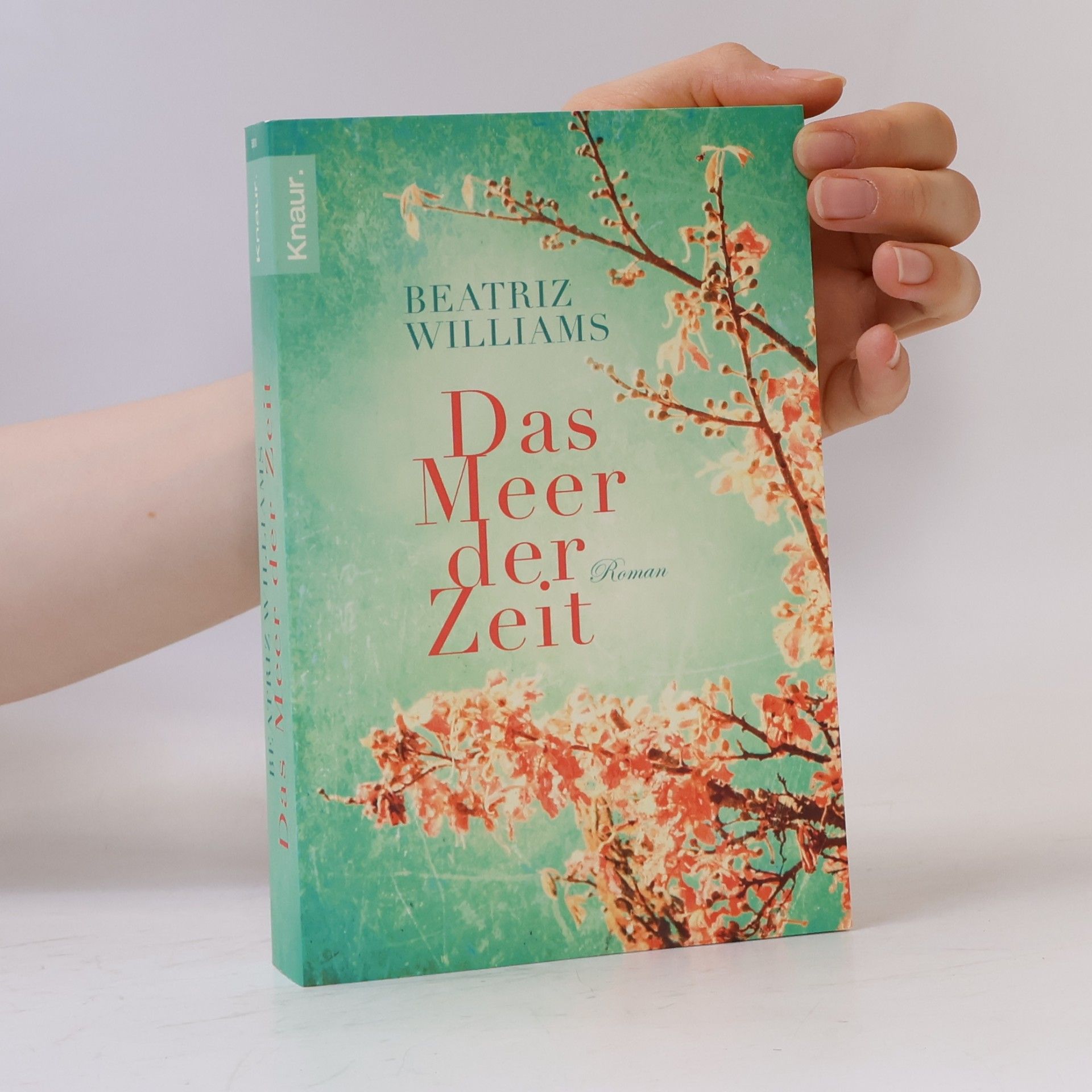 Beatriz Williams Das Meer der Zeit