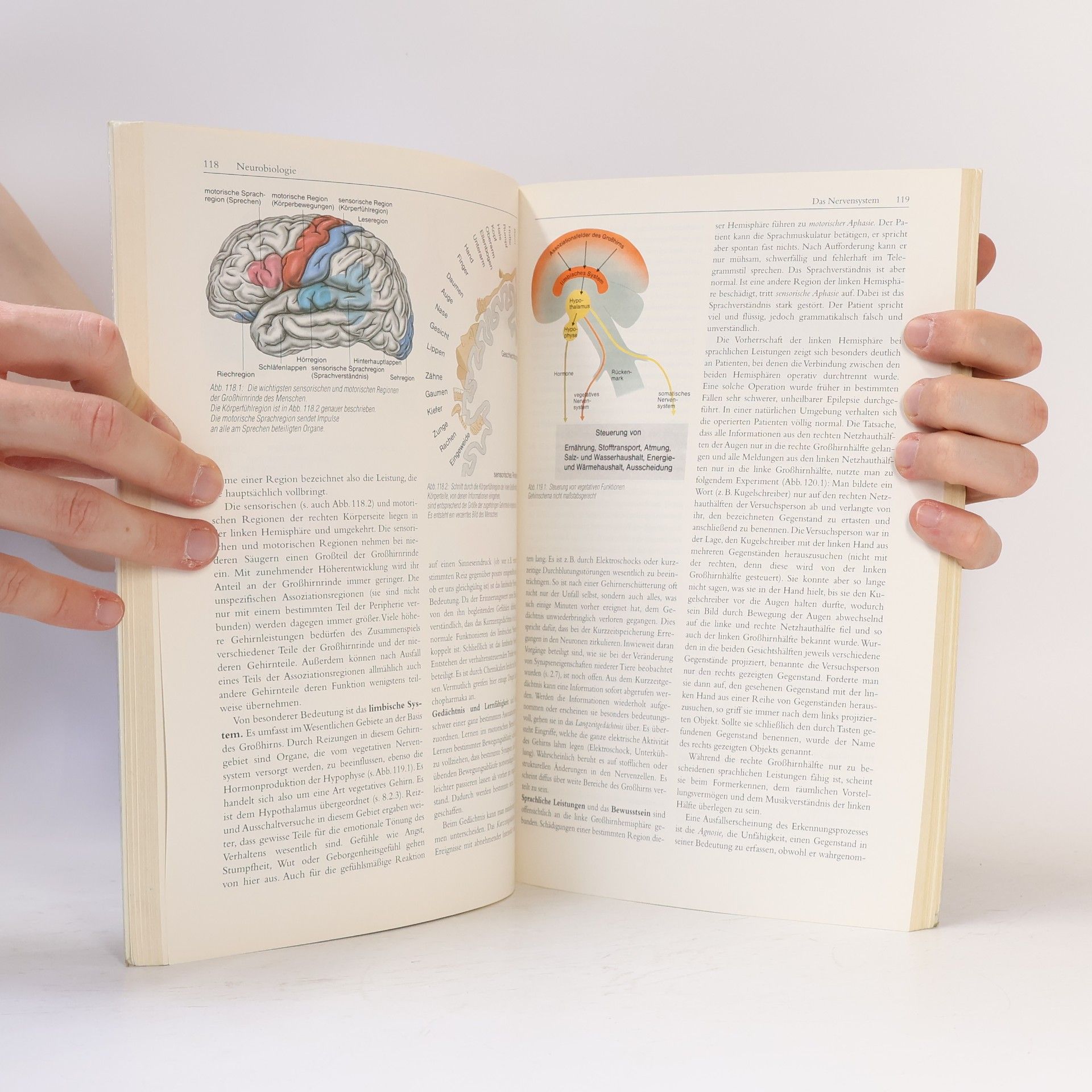 Autorenkollektiv Linder Biologie 2