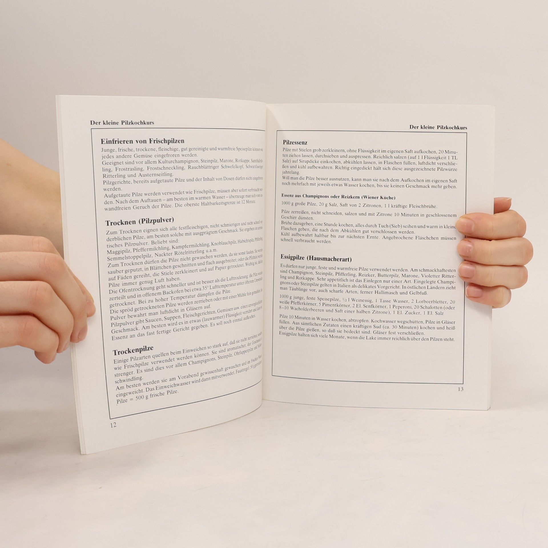 Nora Richter Wildpilz Kochbuch