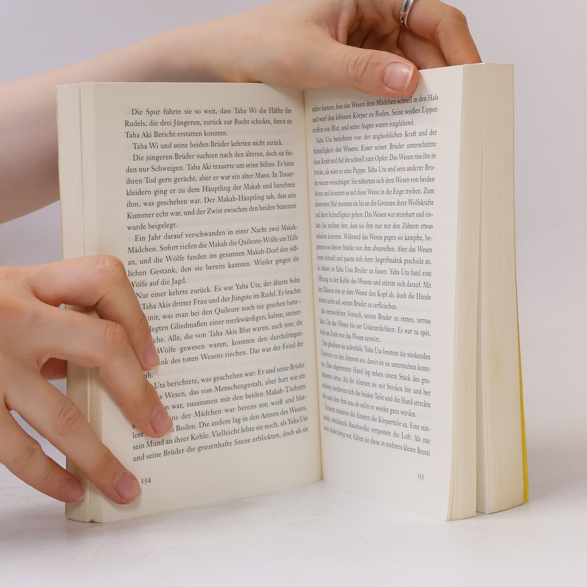 Stephenie Meyer Biss zum Abendrot