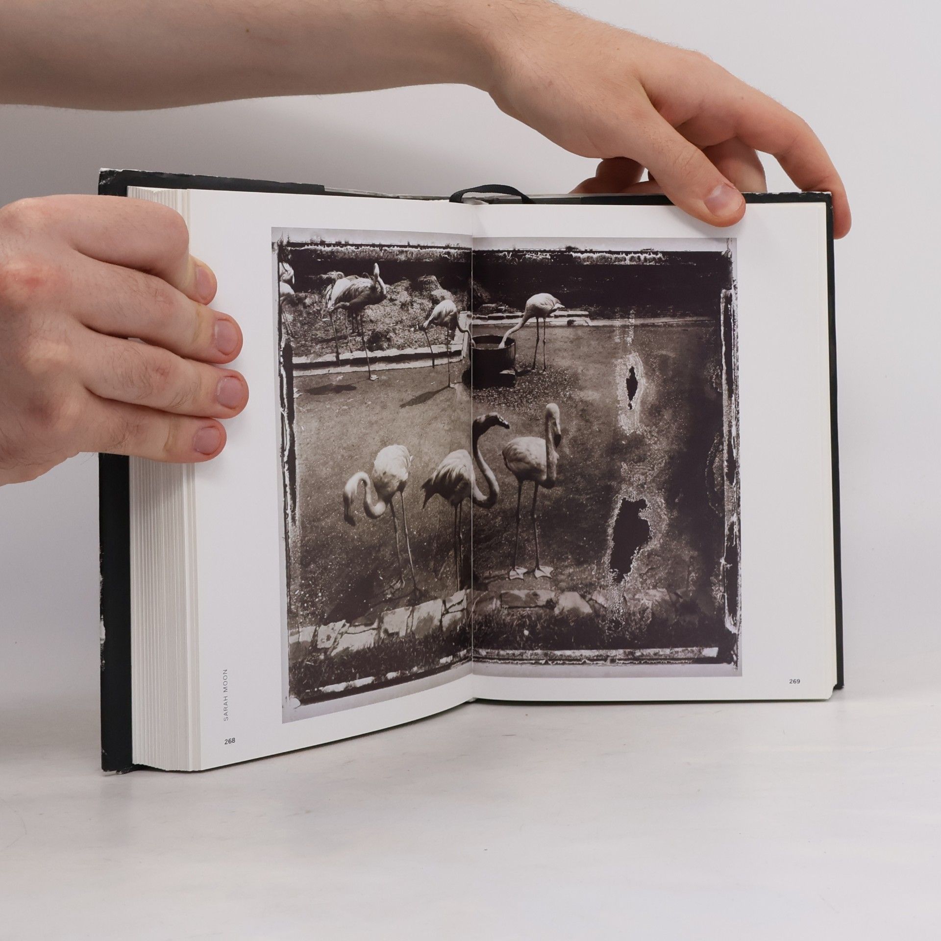 Steve Crist The polaroid book
