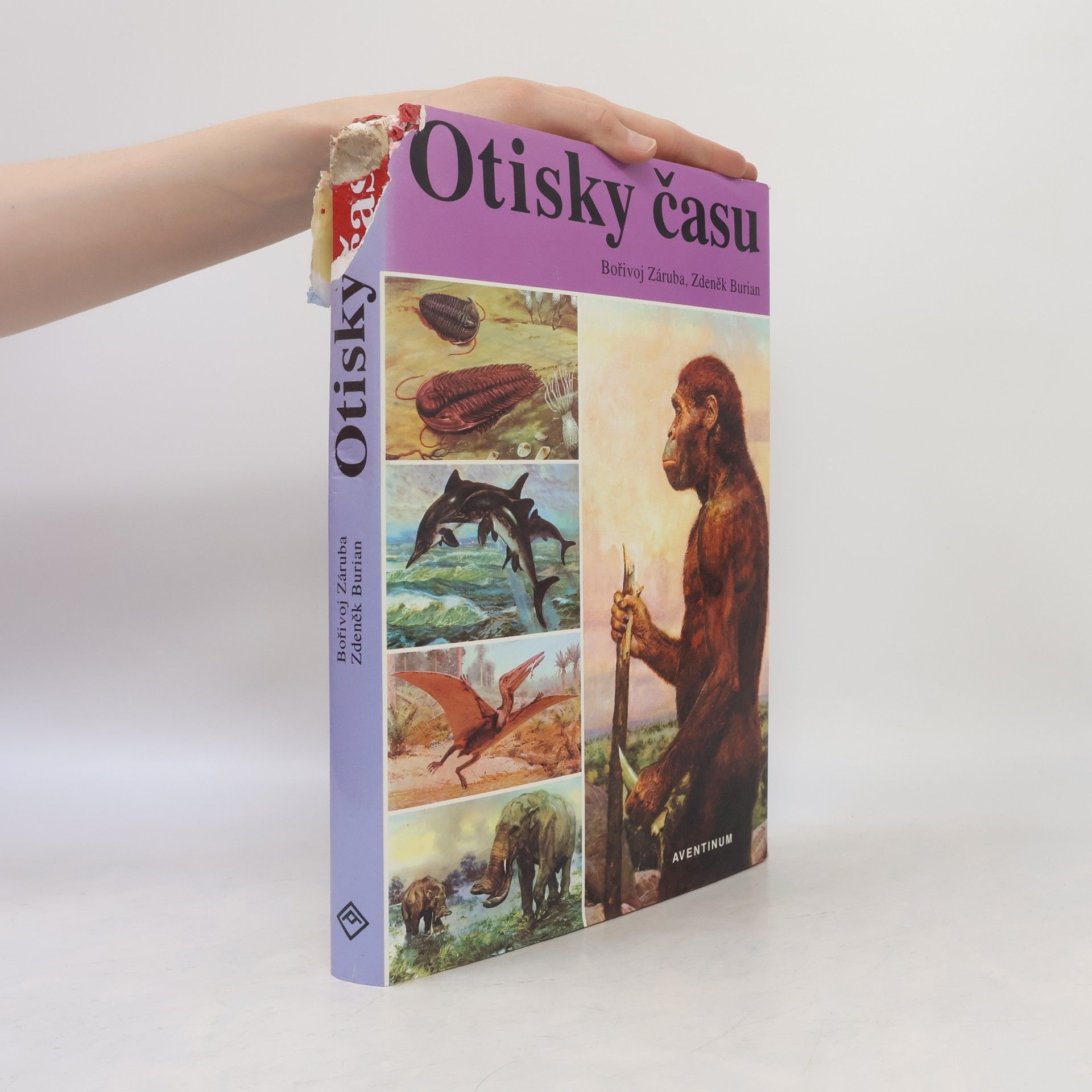 Bořivoj Záruba Otisky času