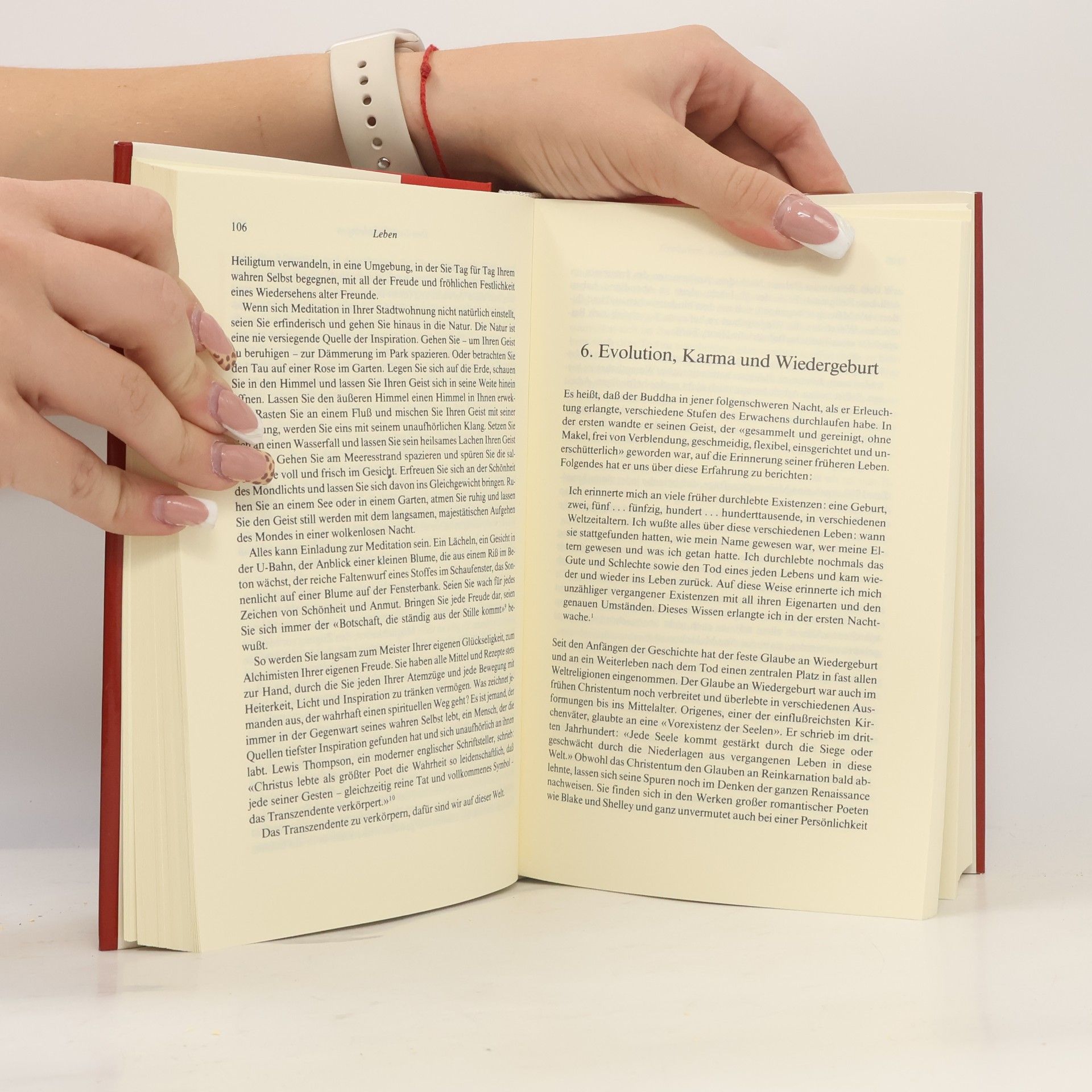 Sogyal Rinpoche Das Tibetische Buch vom Leben und vom Sterben