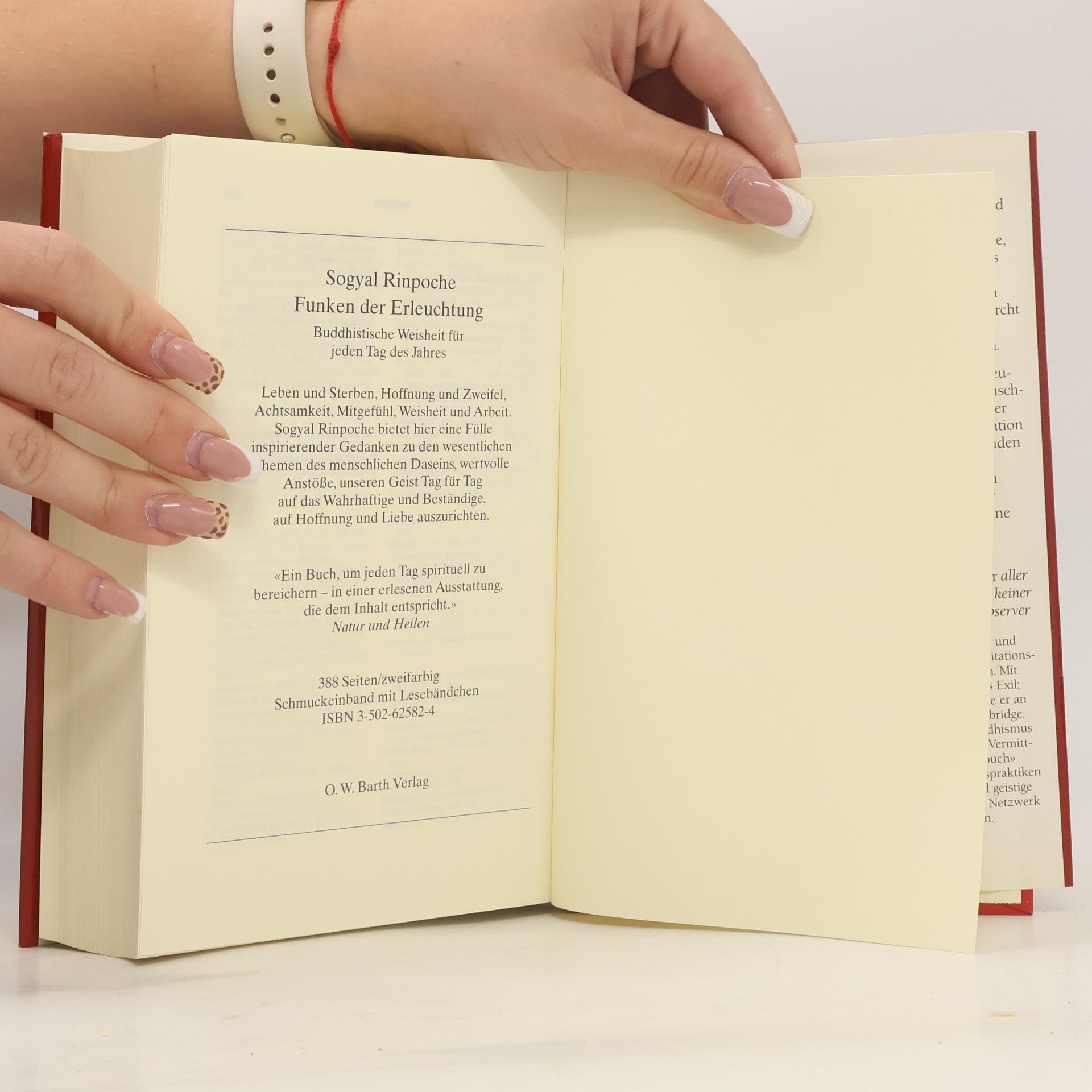 Sogyal Rinpoche Das Tibetische Buch vom Leben und vom Sterben