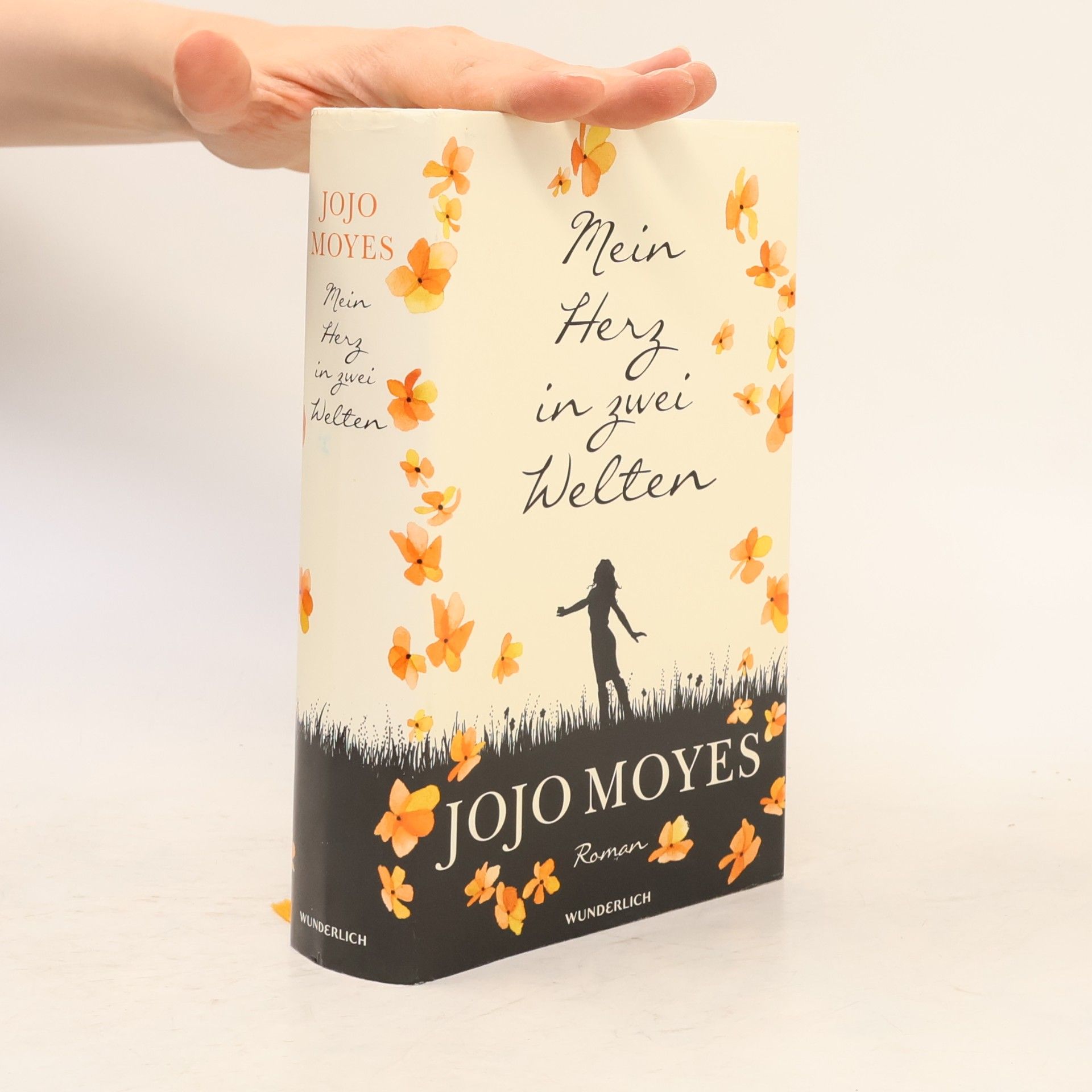 Jojo Moyesová Mein Herz in zwei Welten