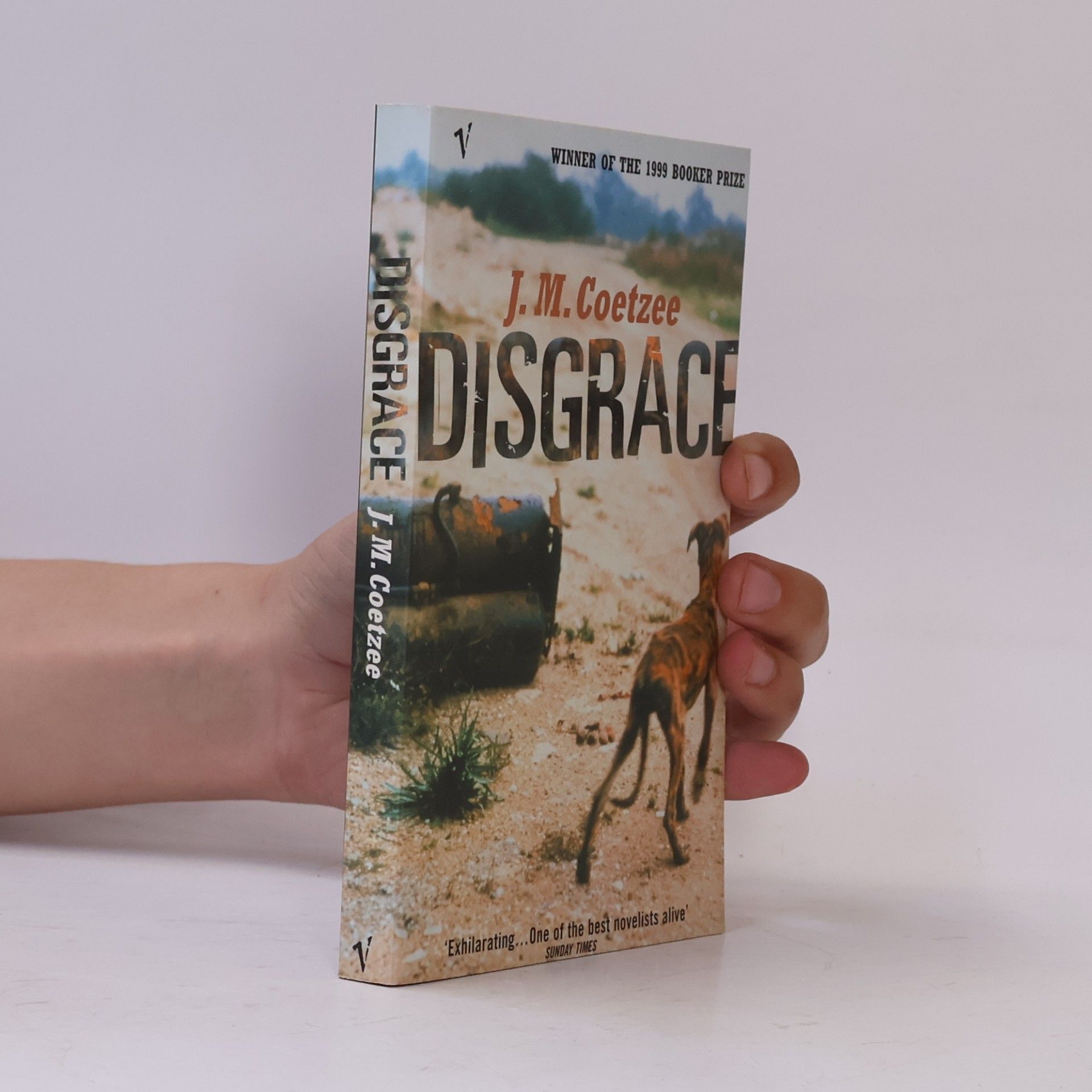 John Maxwell Coetzee Disgrace