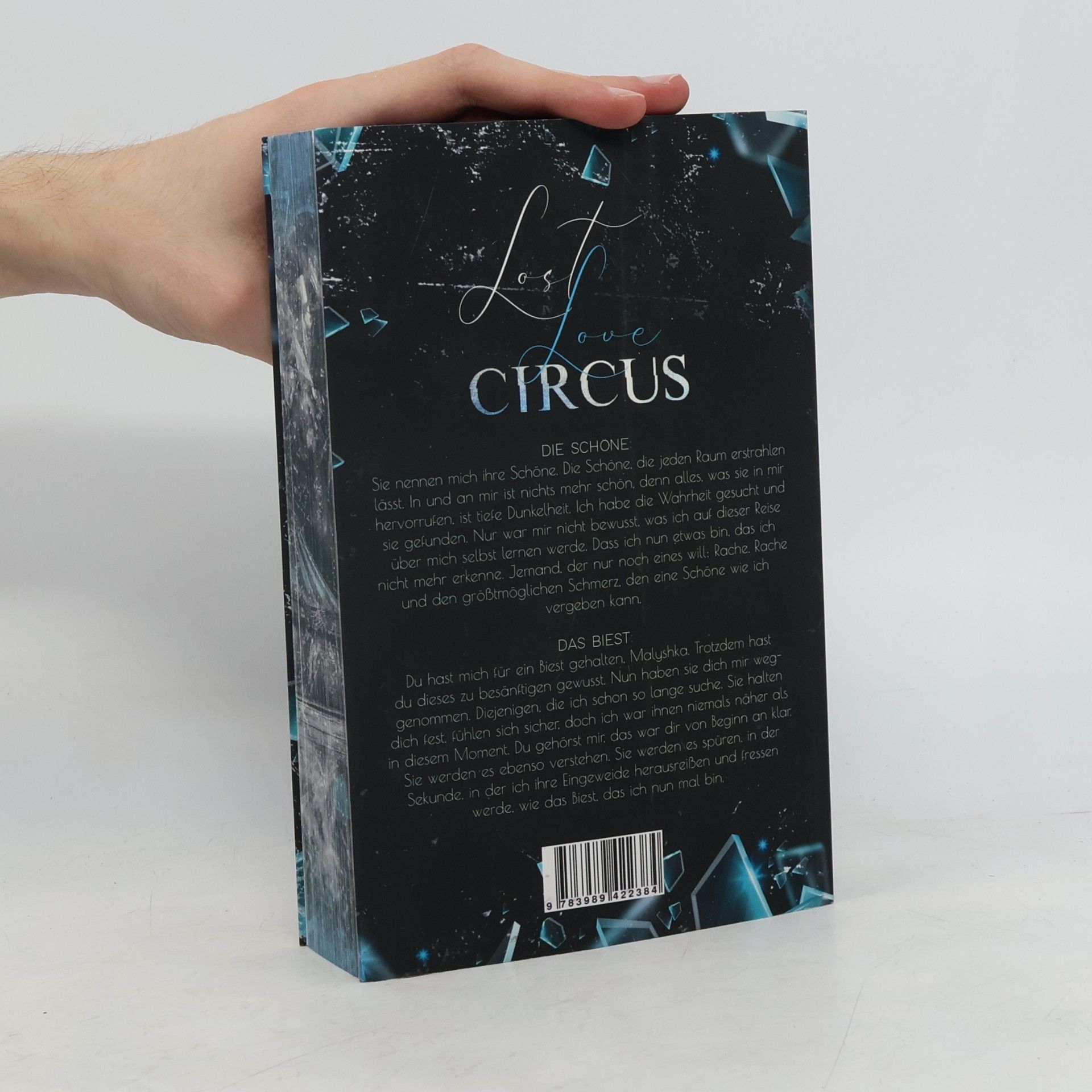 B. B. Stiffers Lost Love Circus