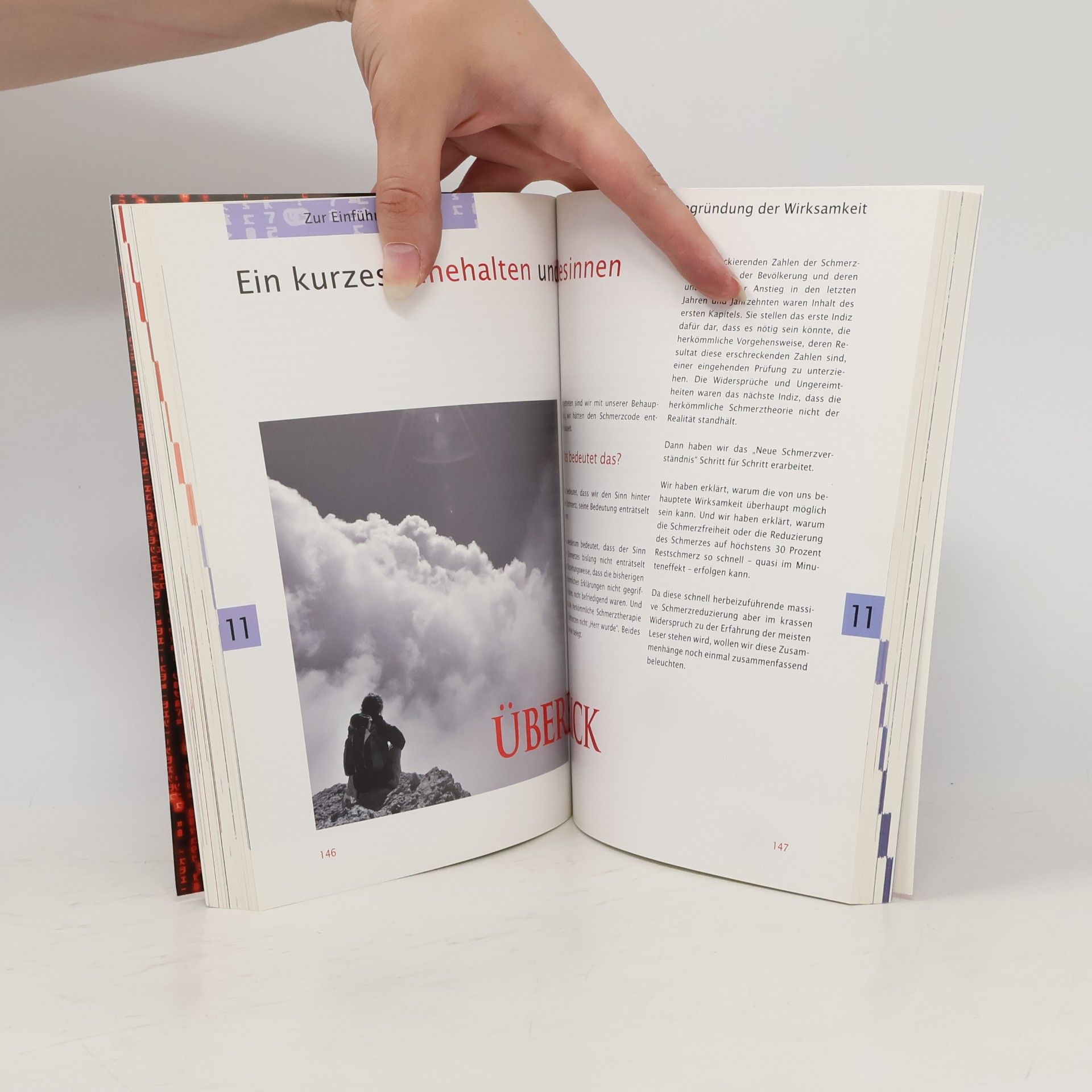 Petra Bracht Der Schmerzcode