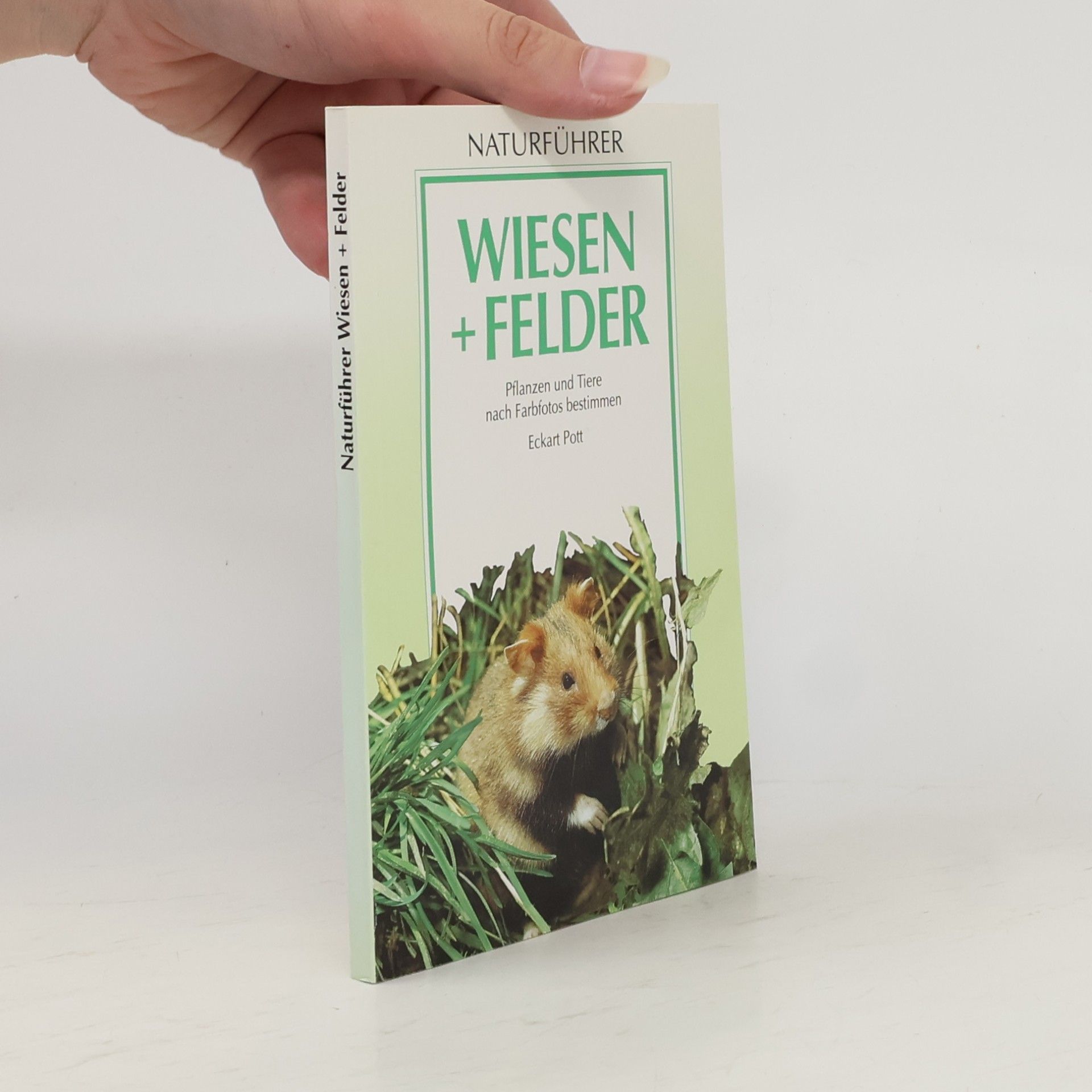 Eckart Pott Wiesen und Felder