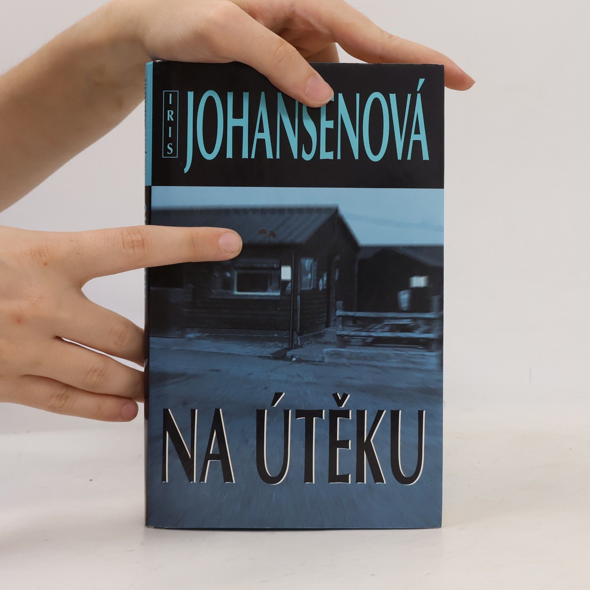Iris Johansen Na útěku