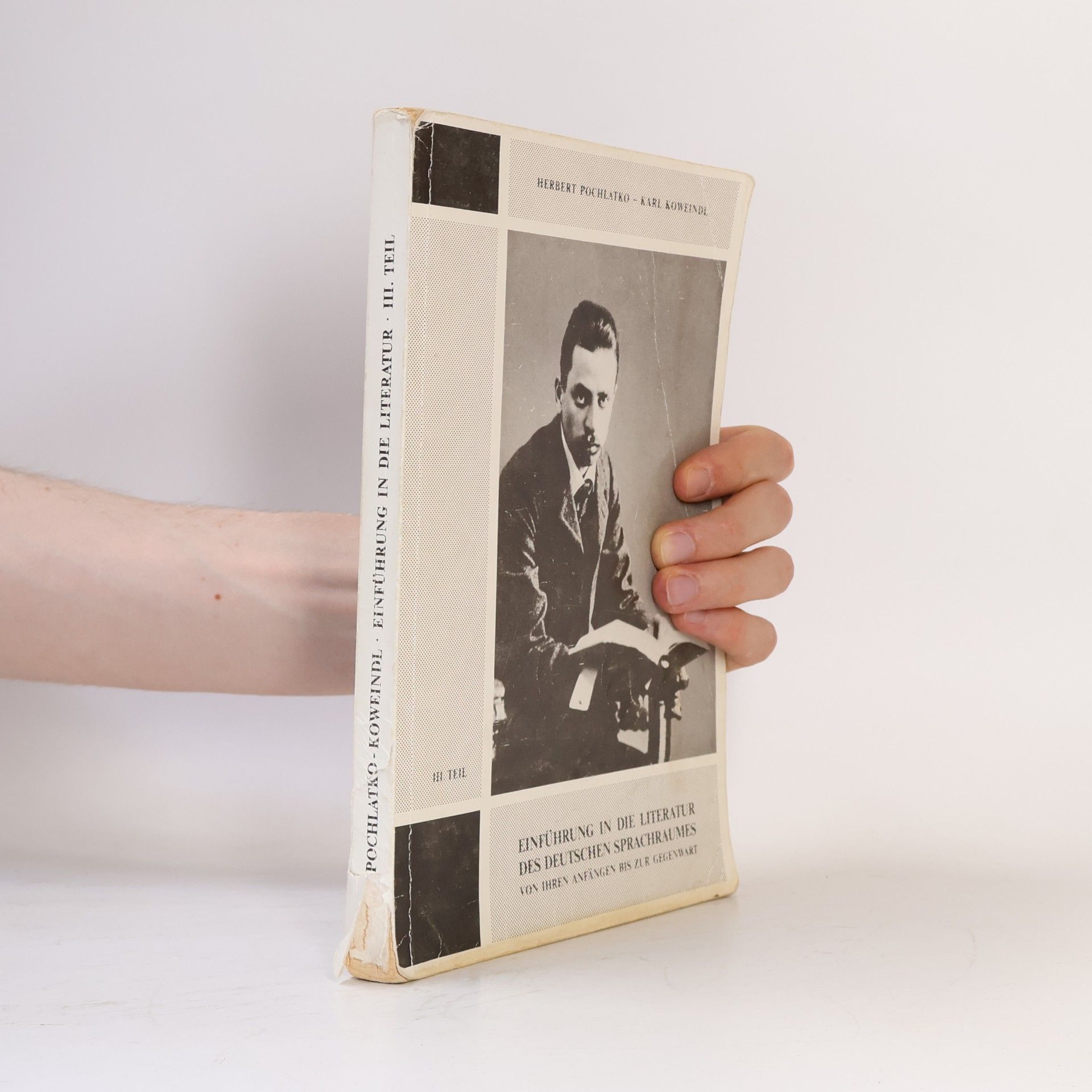 Kolektiv autorů Einführung in die Literatur des deutschen Sprachraumes von ihren Anfängen bis zur Gegenwart