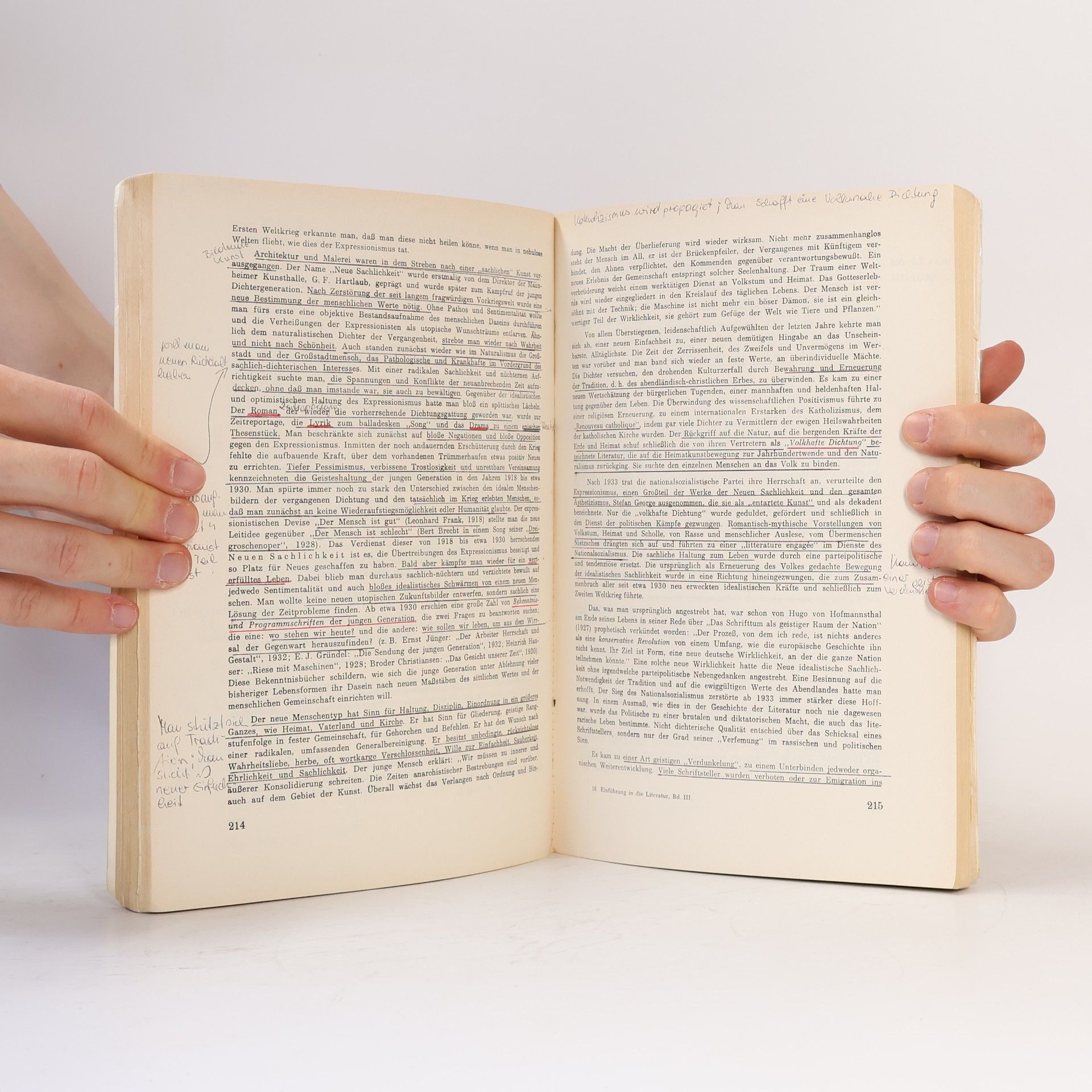 Kolektiv autorů Einführung in die Literatur des deutschen Sprachraumes von ihren Anfängen bis zur Gegenwart