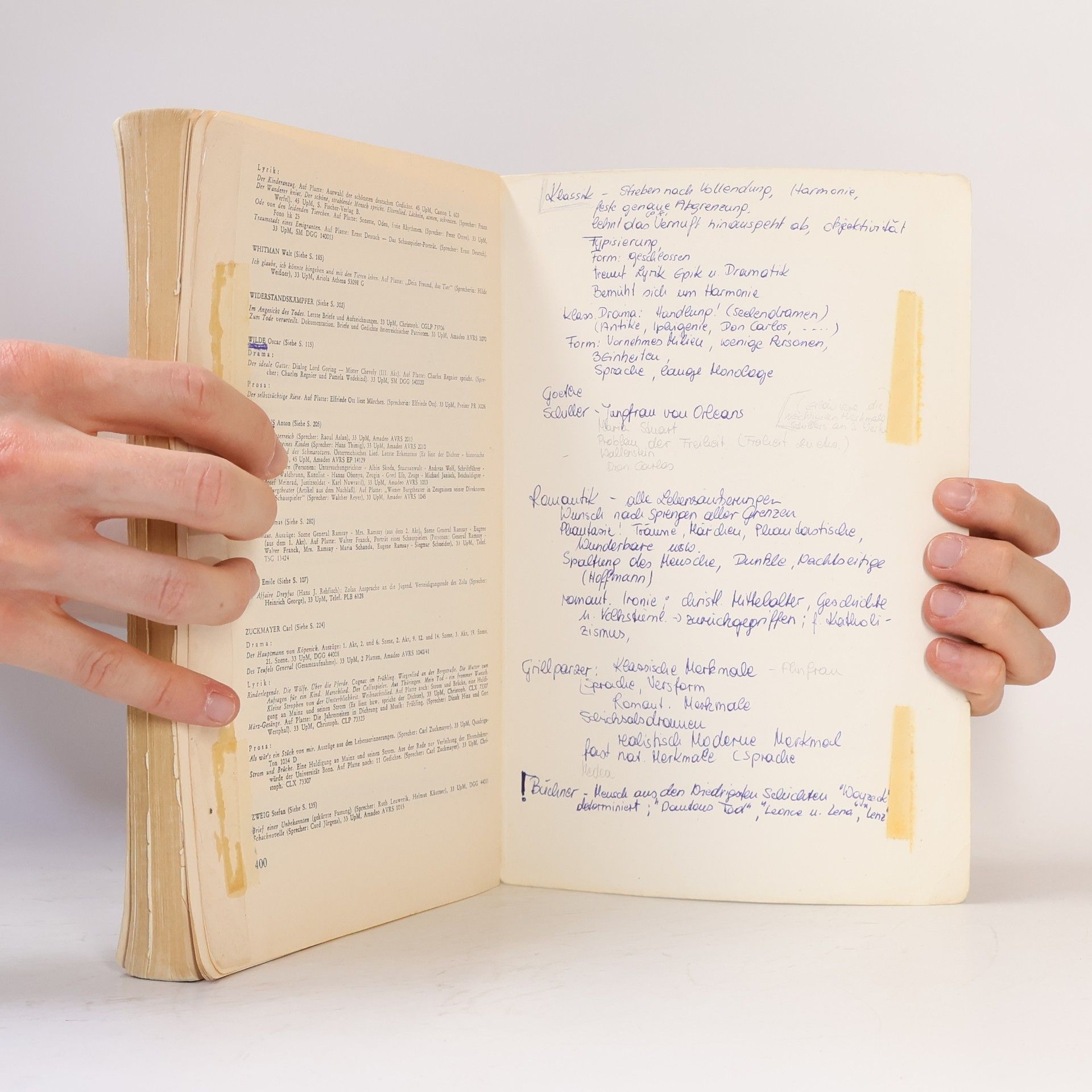Kolektiv autorů Einführung in die Literatur des deutschen Sprachraumes von ihren Anfängen bis zur Gegenwart