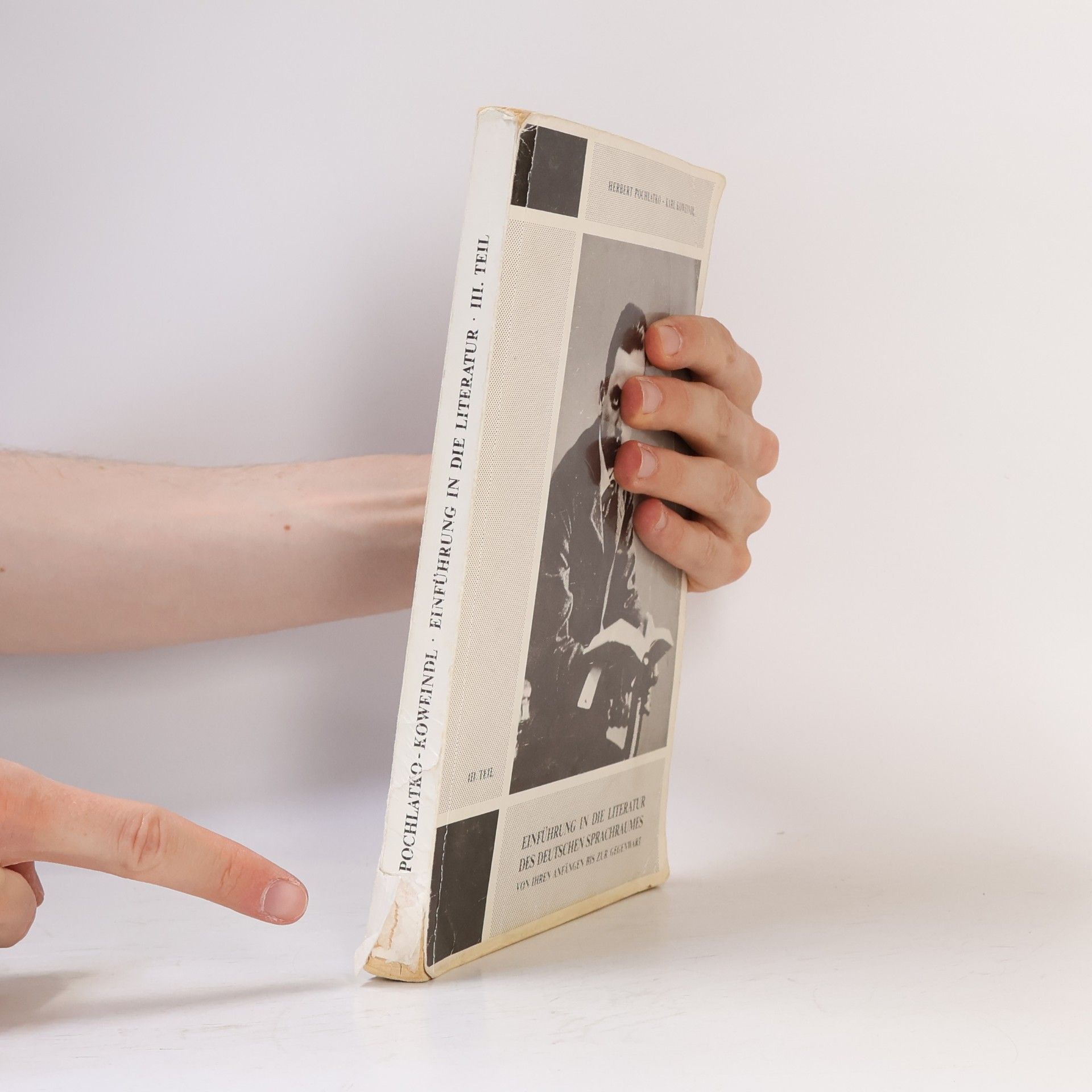 Kolektiv autorů Einführung in die Literatur des deutschen Sprachraumes von ihren Anfängen bis zur Gegenwart