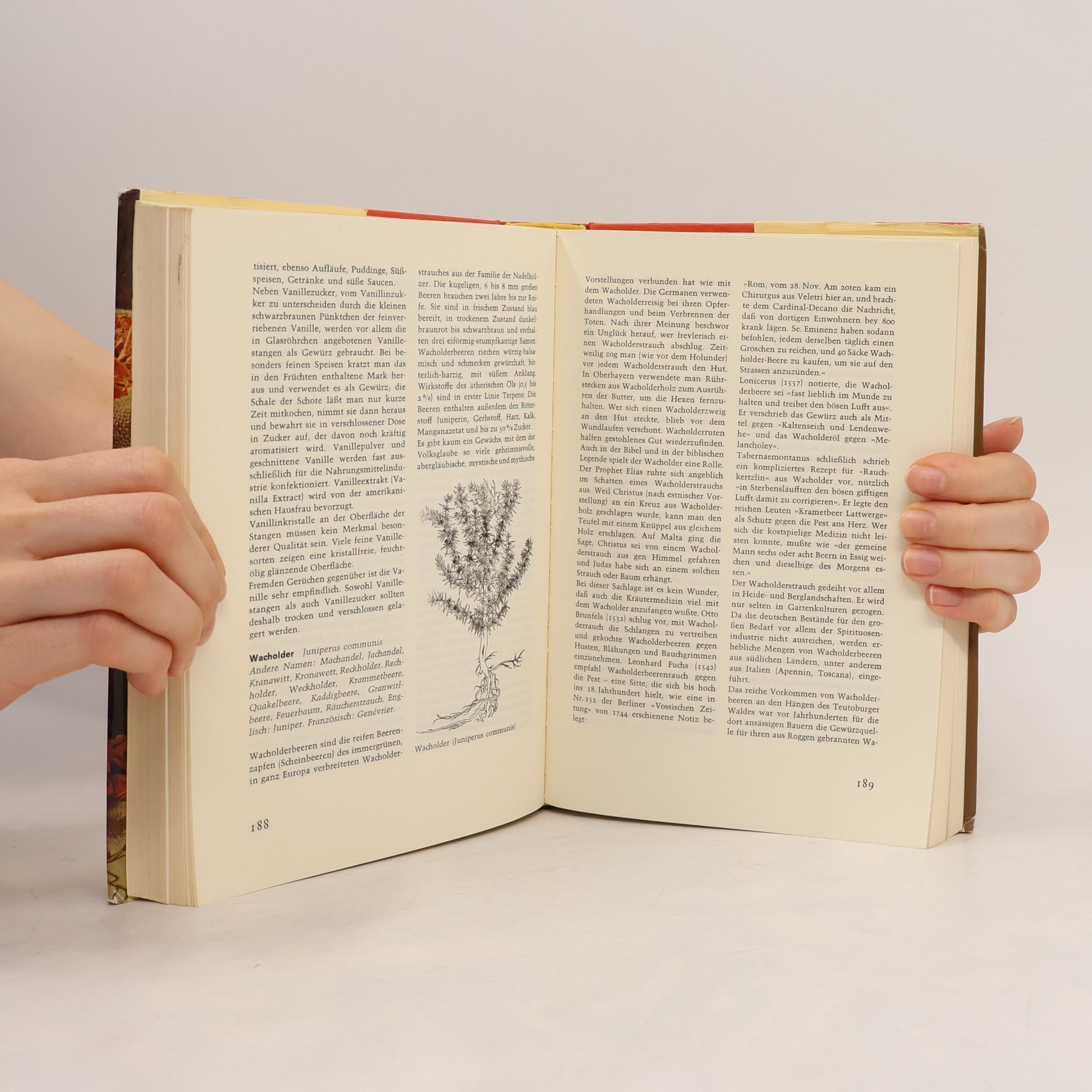 AA.VV. Das Buch der Gewürze