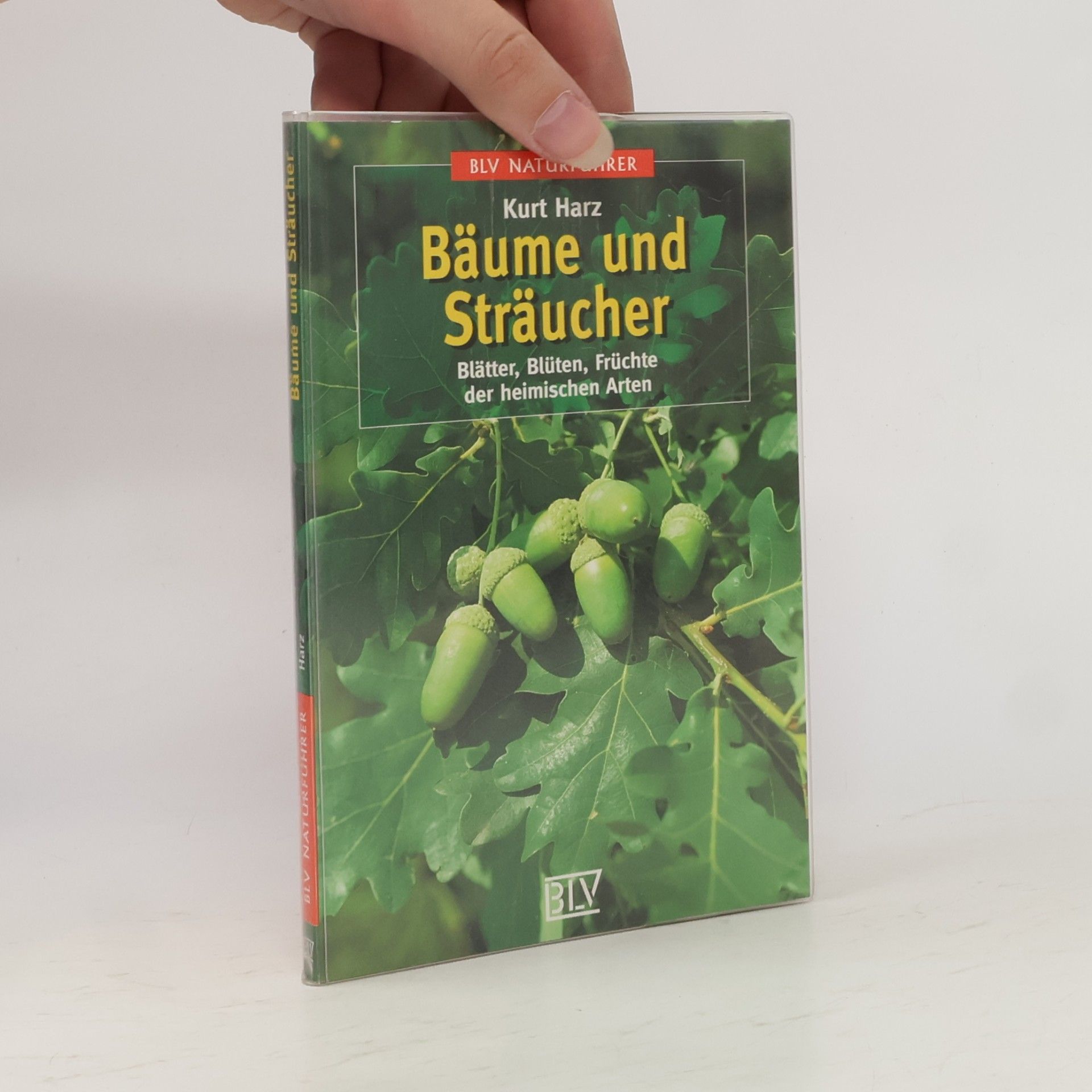 Kurt Harz Bäume und Sträucher