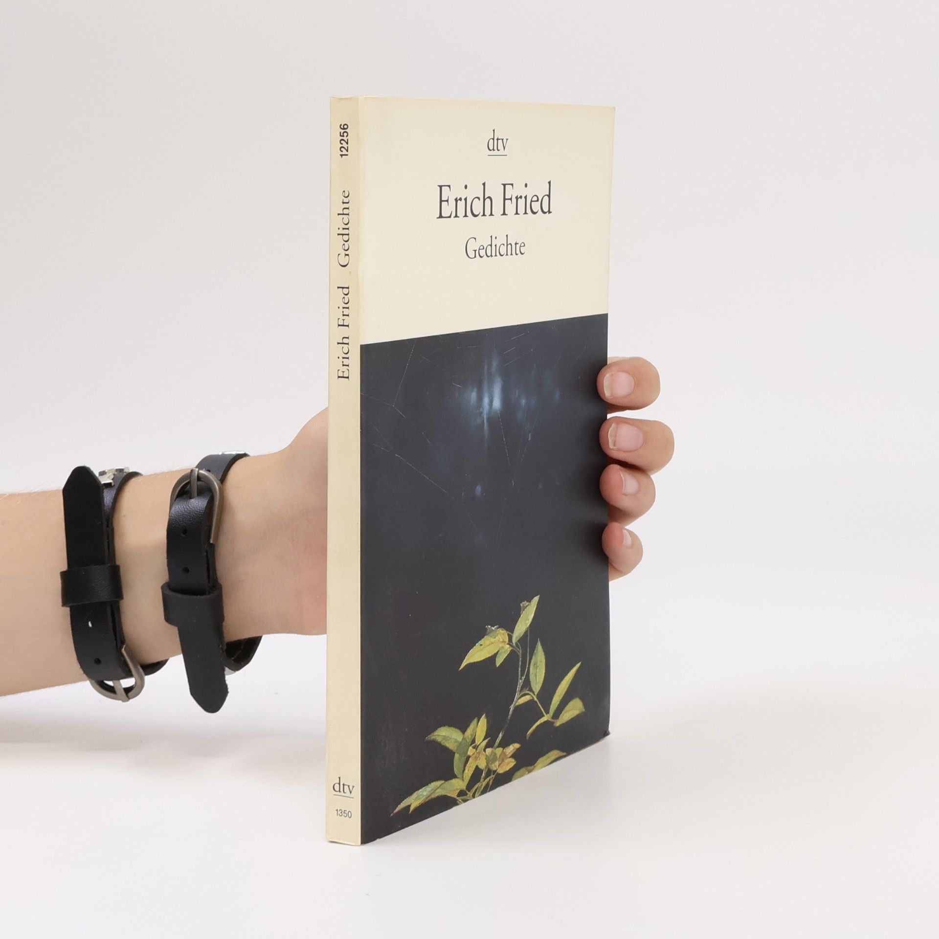 Erich Fried Gedichte